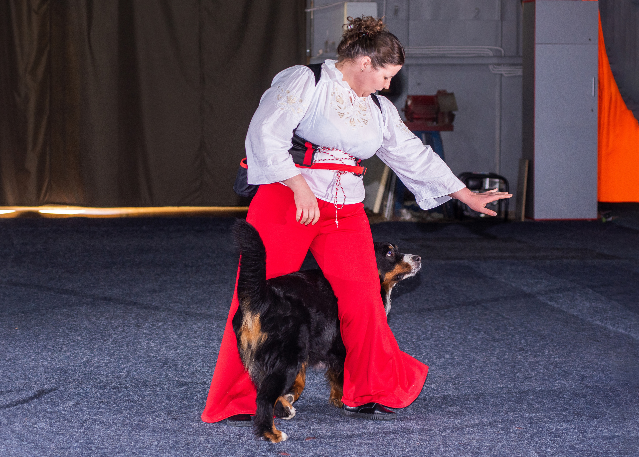 Танцы с собаками!. Дог-фотограф в Тюмени Александра Королева