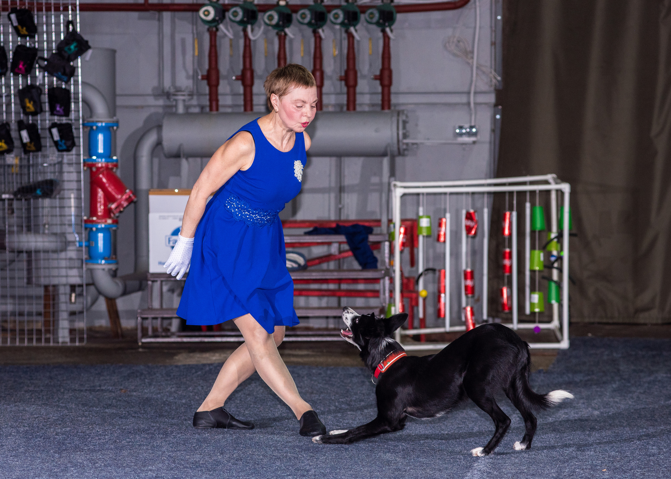 Танцы с собаками!. Дог-фотограф в Тюмени Александра Королева