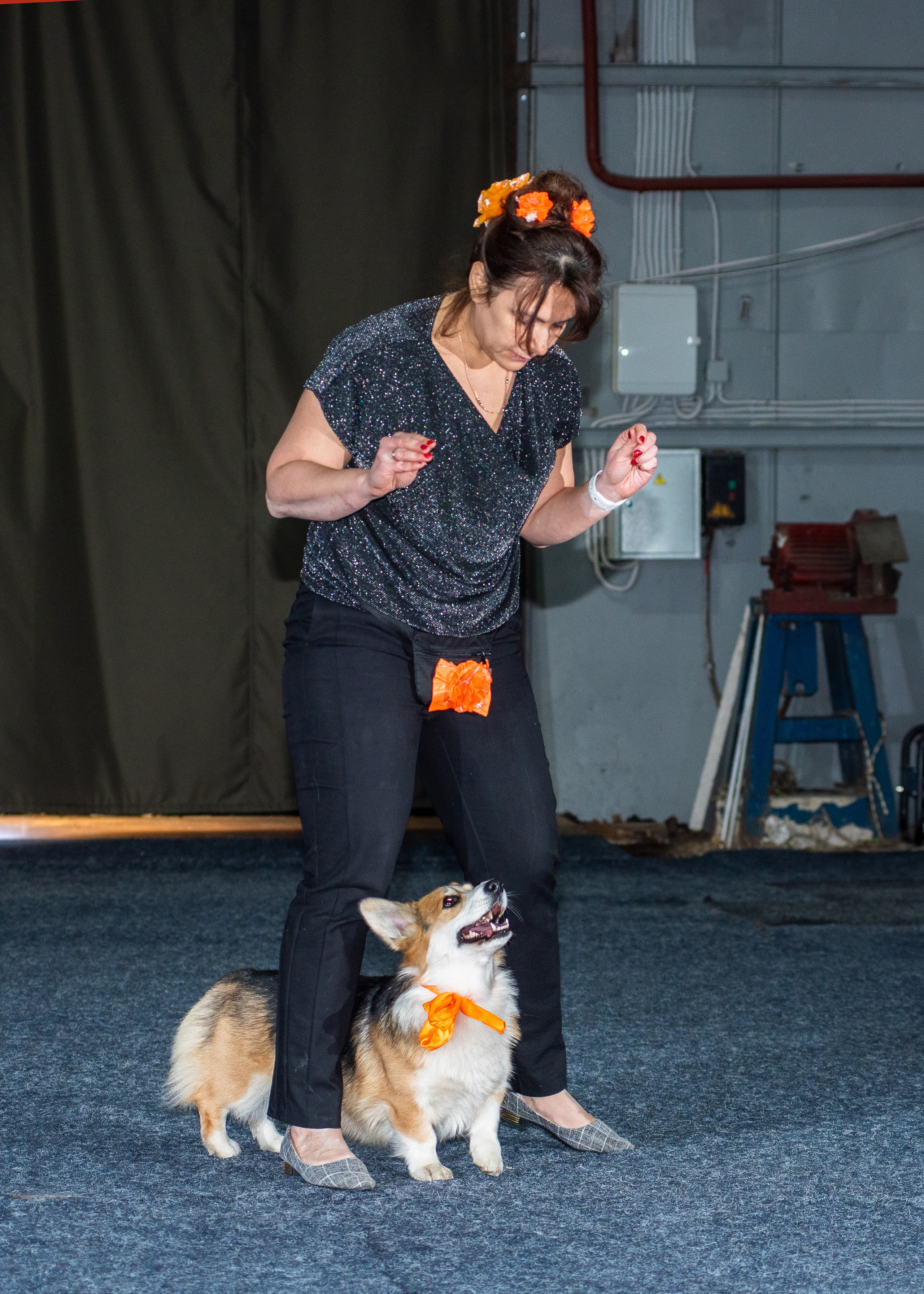 Танцы с собаками!. Дог-фотограф в Тюмени Александра Королева