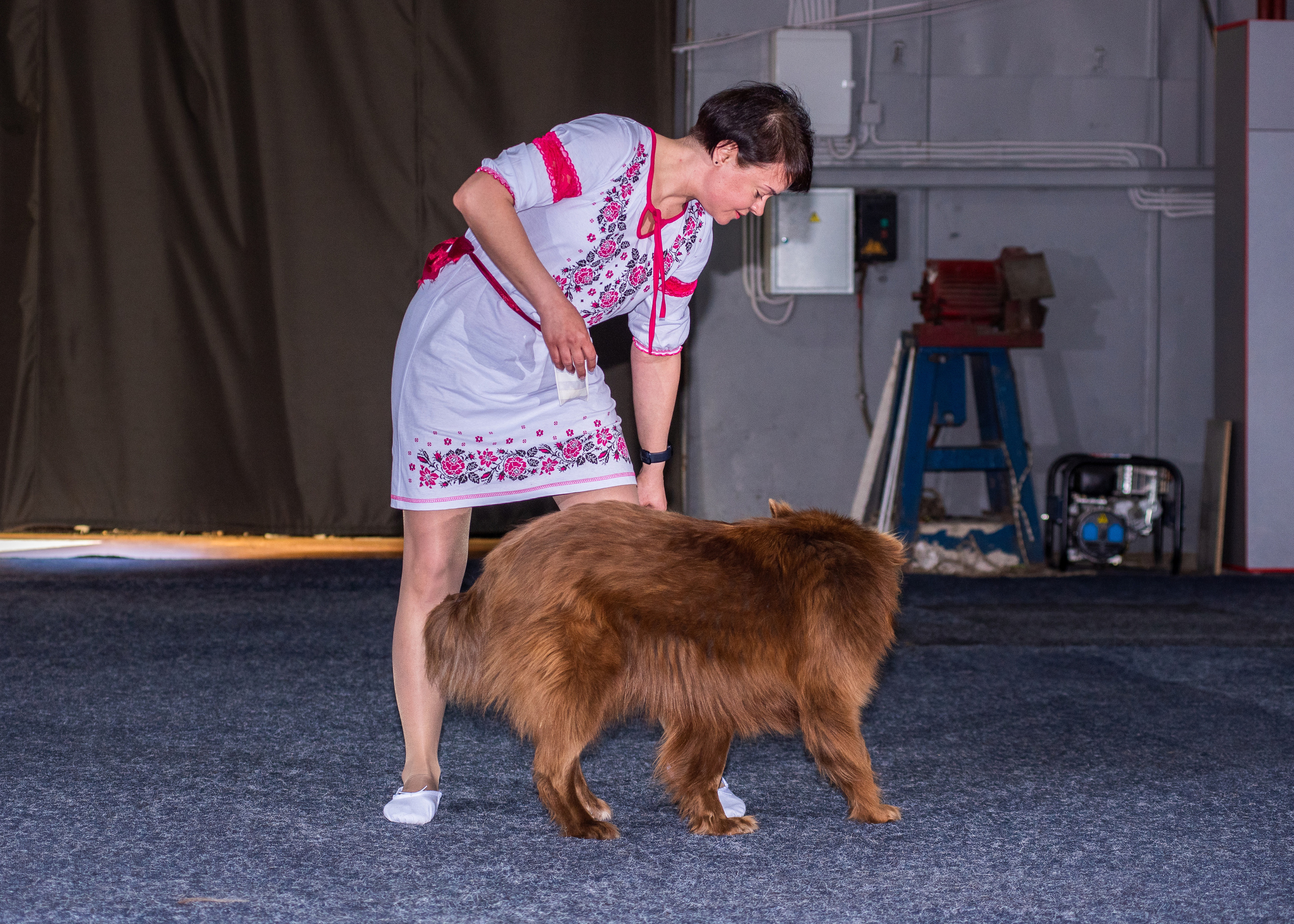 Танцы с собаками!. Дог-фотограф в Тюмени Александра Королева