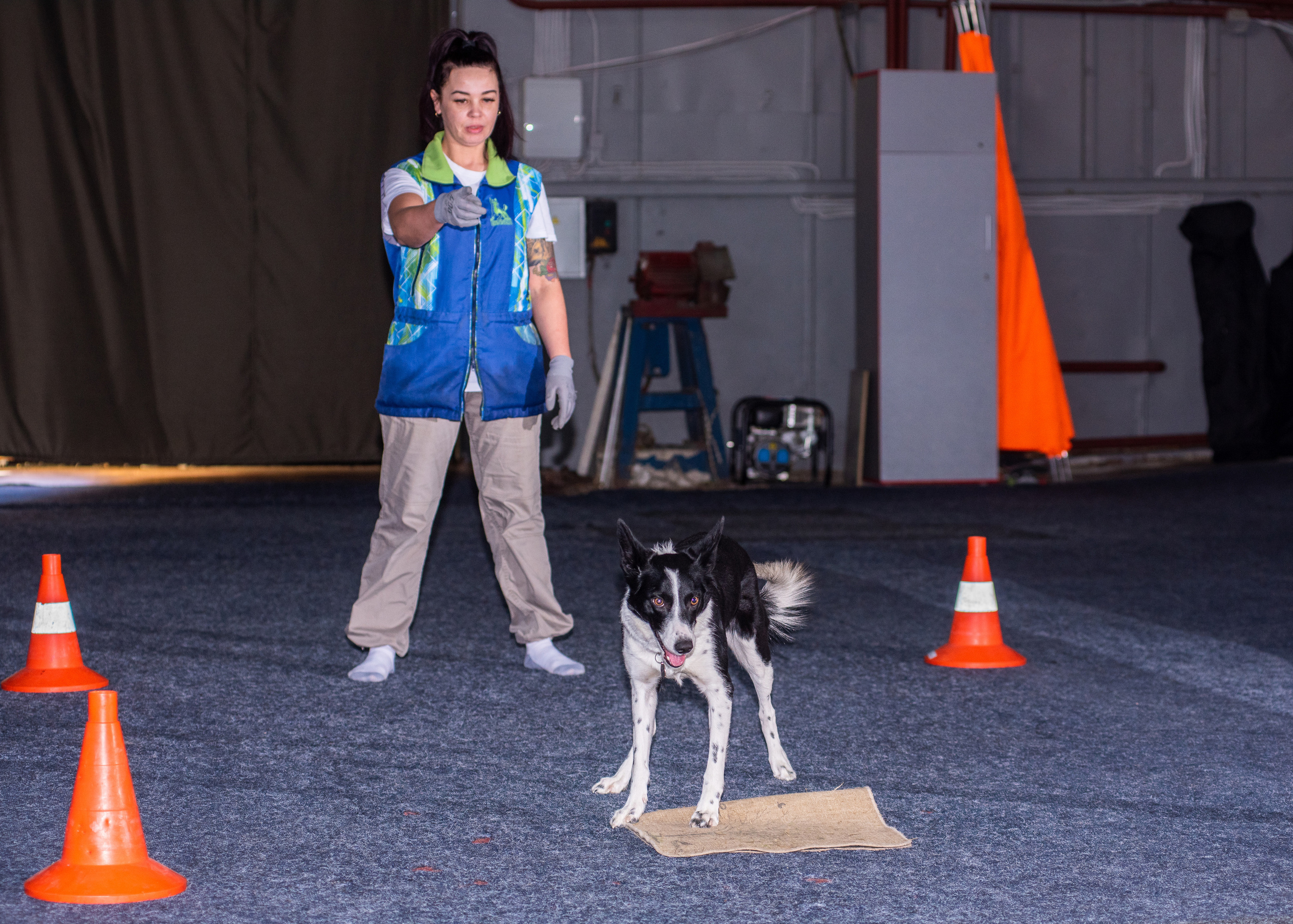 Танцы с собаками!. Дог-фотограф в Тюмени Александра Королева