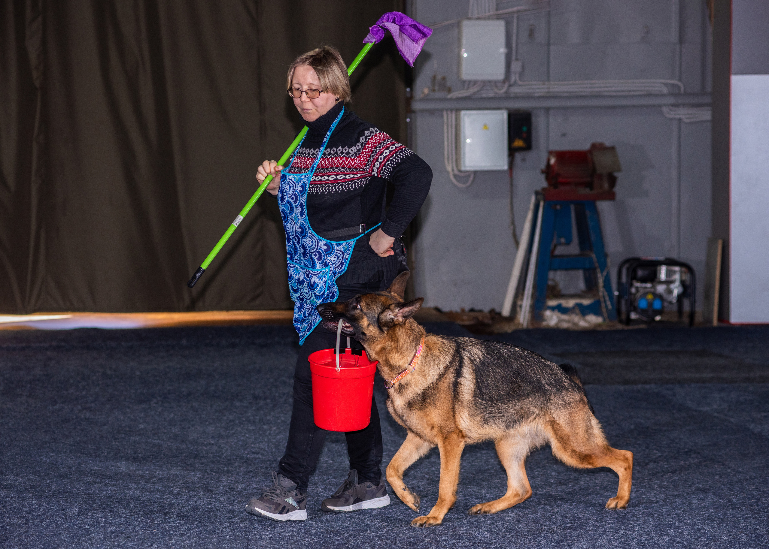 Танцы с собаками!. Дог-фотограф в Тюмени Александра Королева