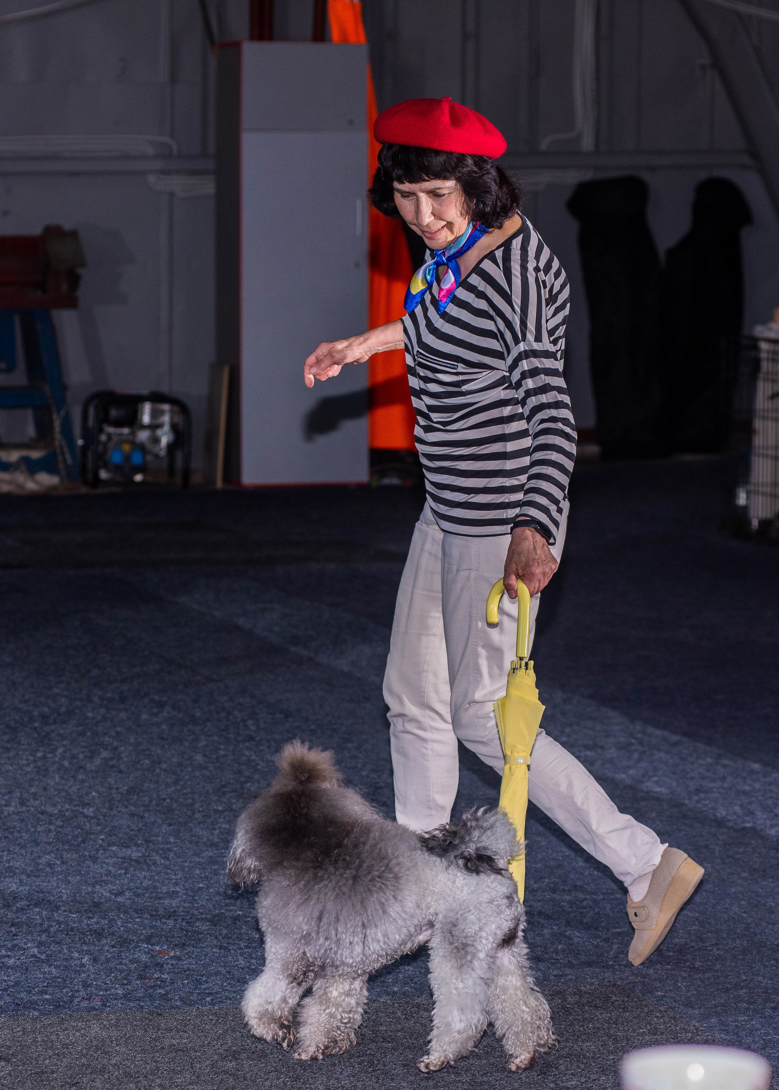 Танцы с собаками!. Дог-фотограф в Тюмени Александра Королева