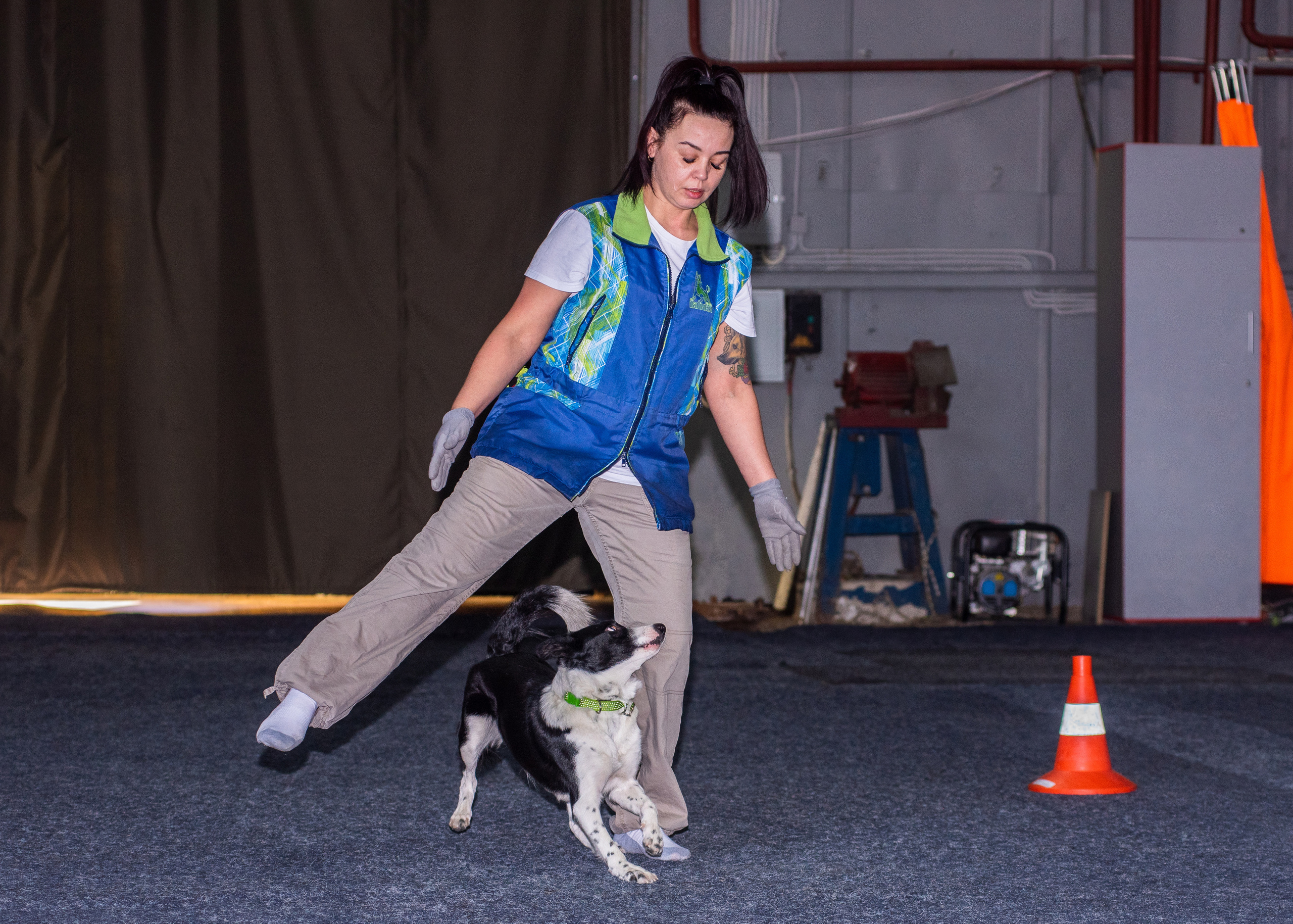 Танцы с собаками!. Дог-фотограф в Тюмени Александра Королева