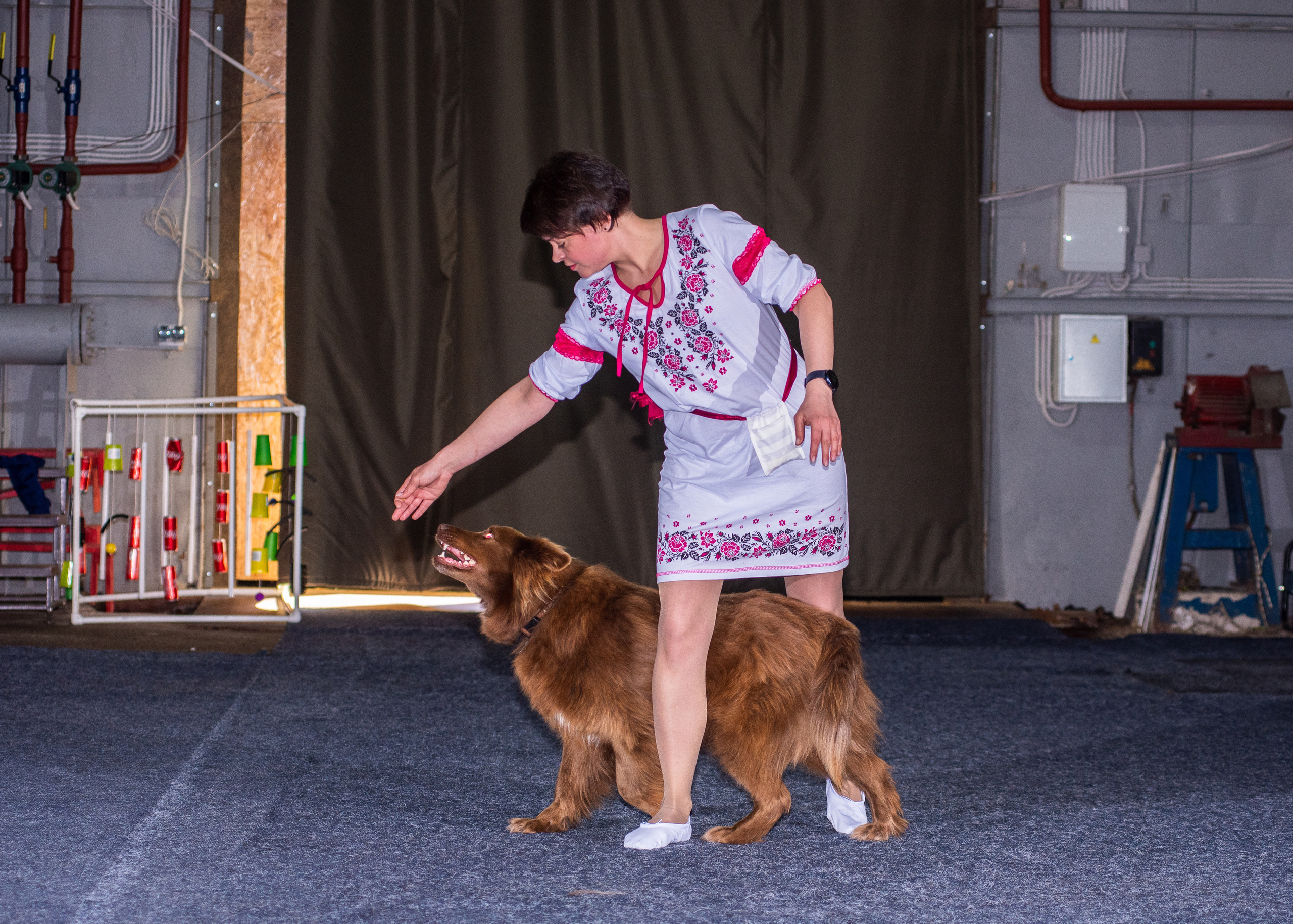 Танцы с собаками!. Дог-фотограф в Тюмени Александра Королева