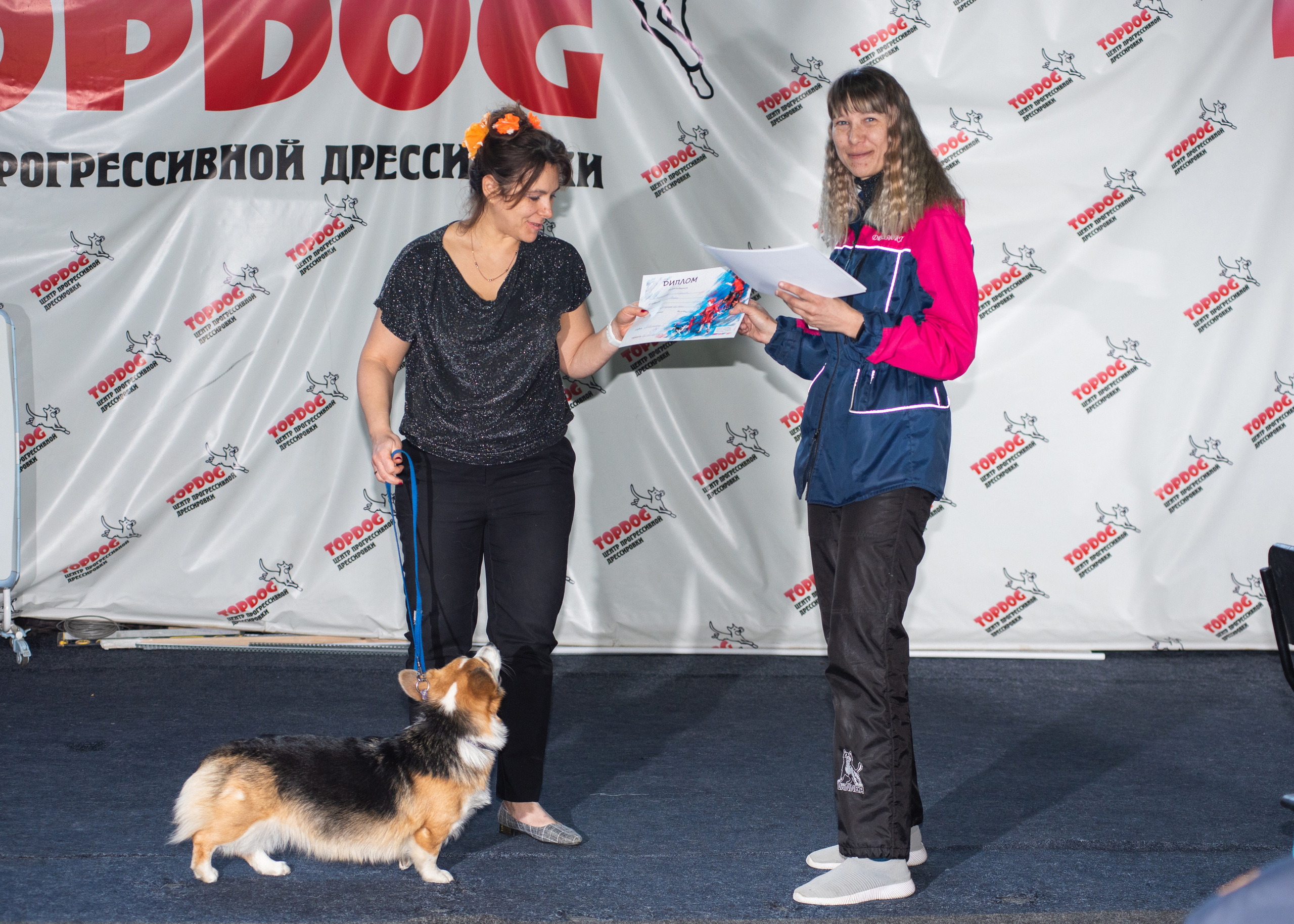 Танцы с собаками!. Дог-фотограф в Тюмени Александра Королева