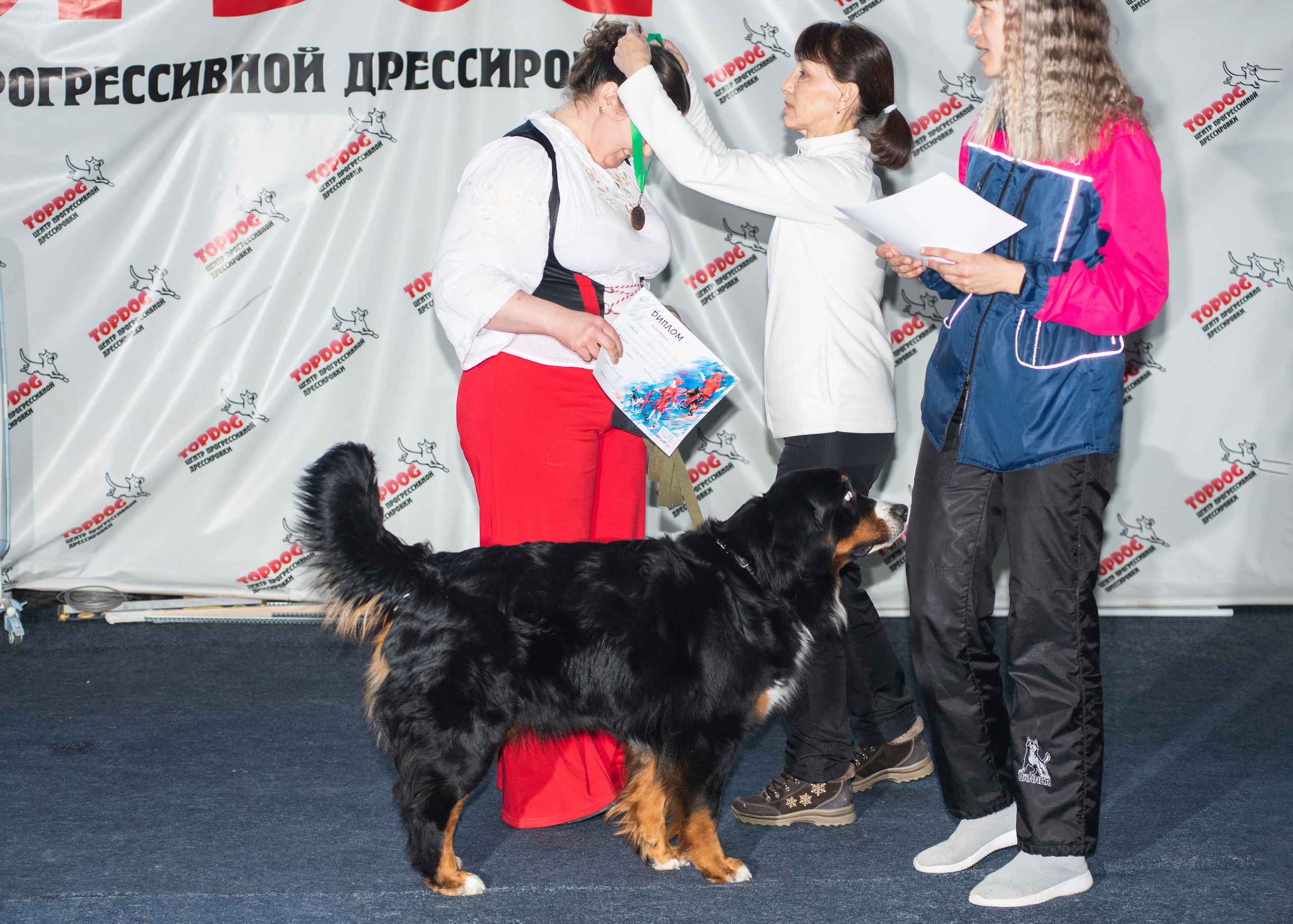 Танцы с собаками!. Дог-фотограф в Тюмени Александра Королева