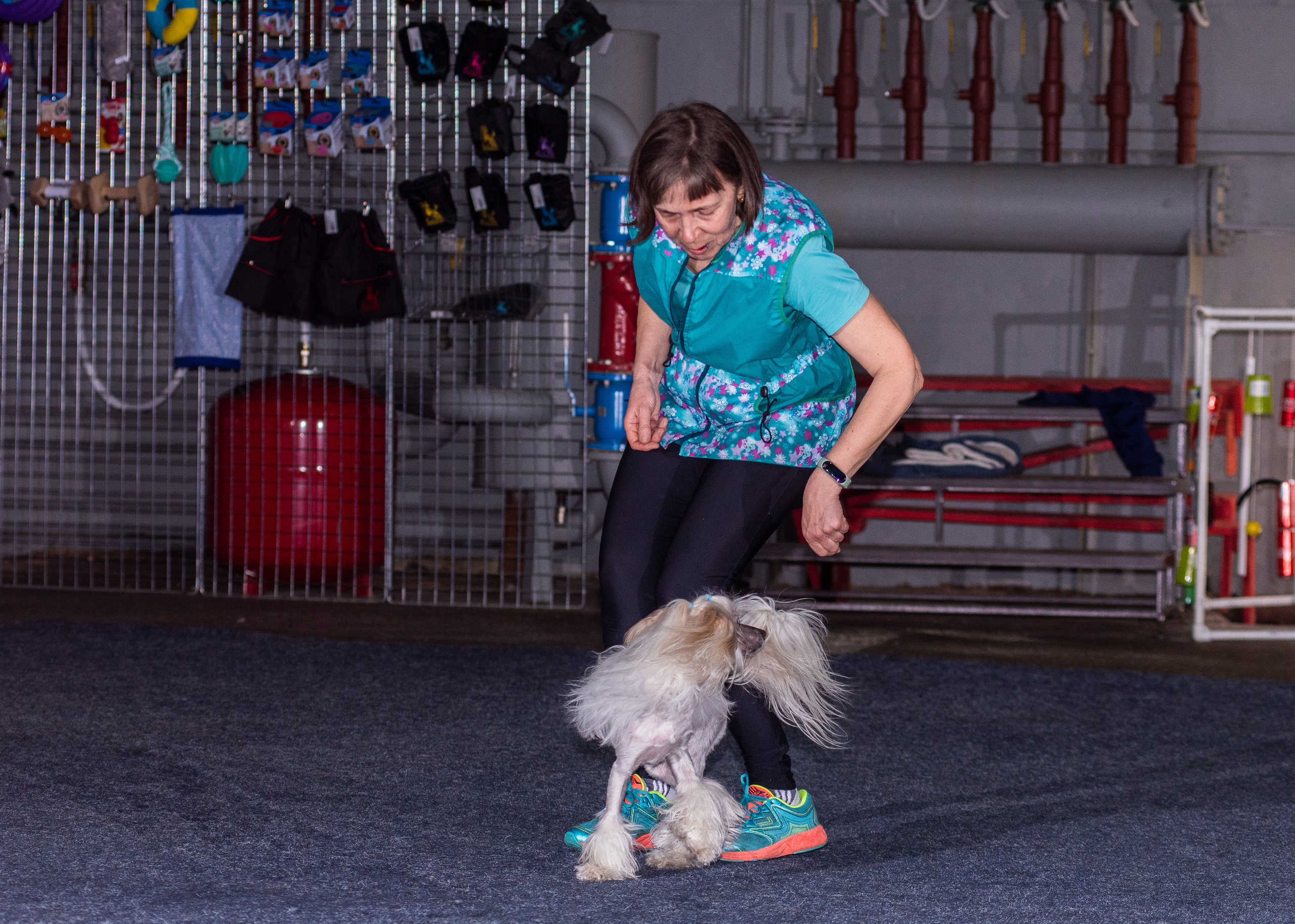 Танцы с собаками!. Дог-фотограф в Тюмени Александра Королева