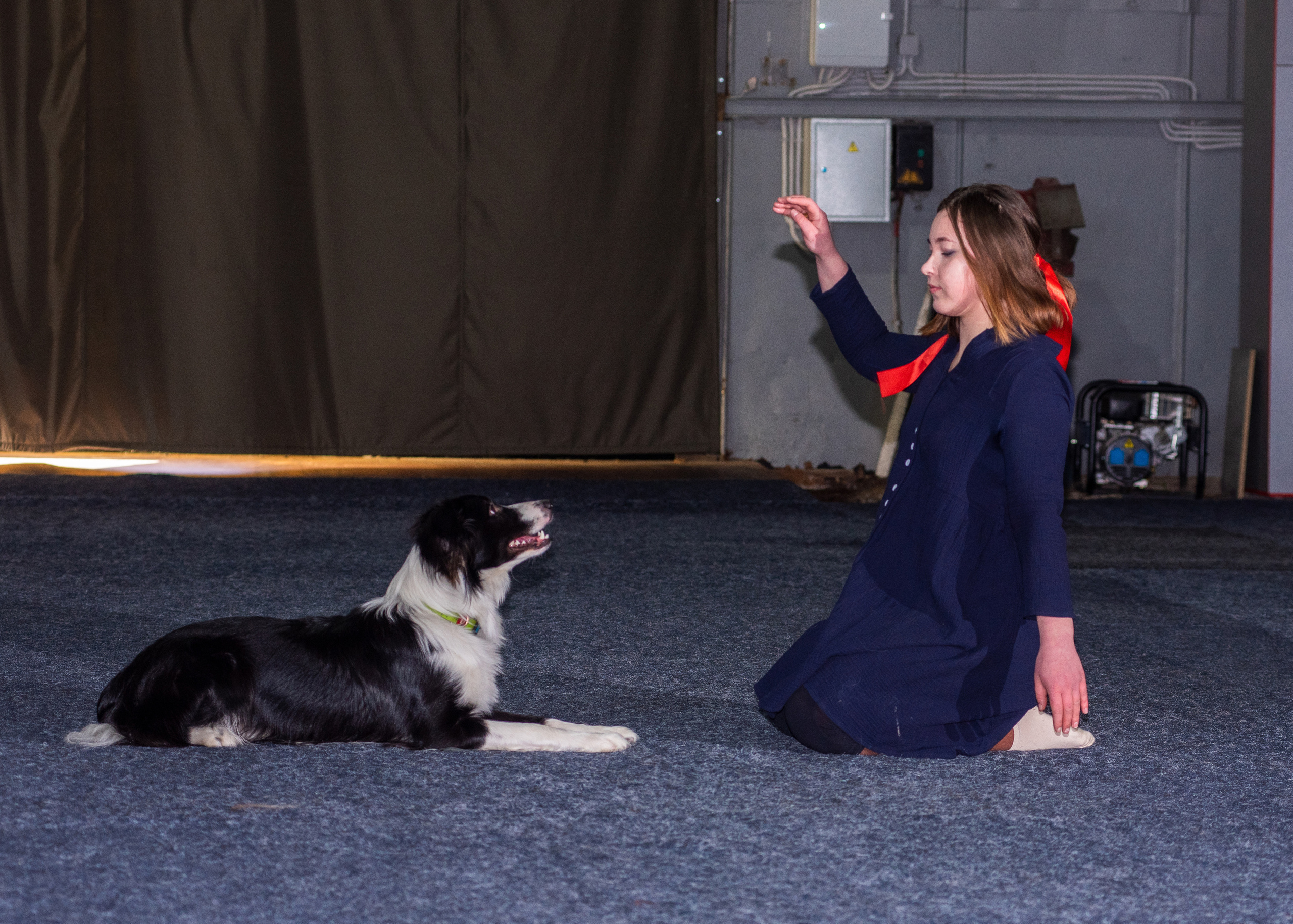 Танцы с собаками!. Дог-фотограф в Тюмени Александра Королева