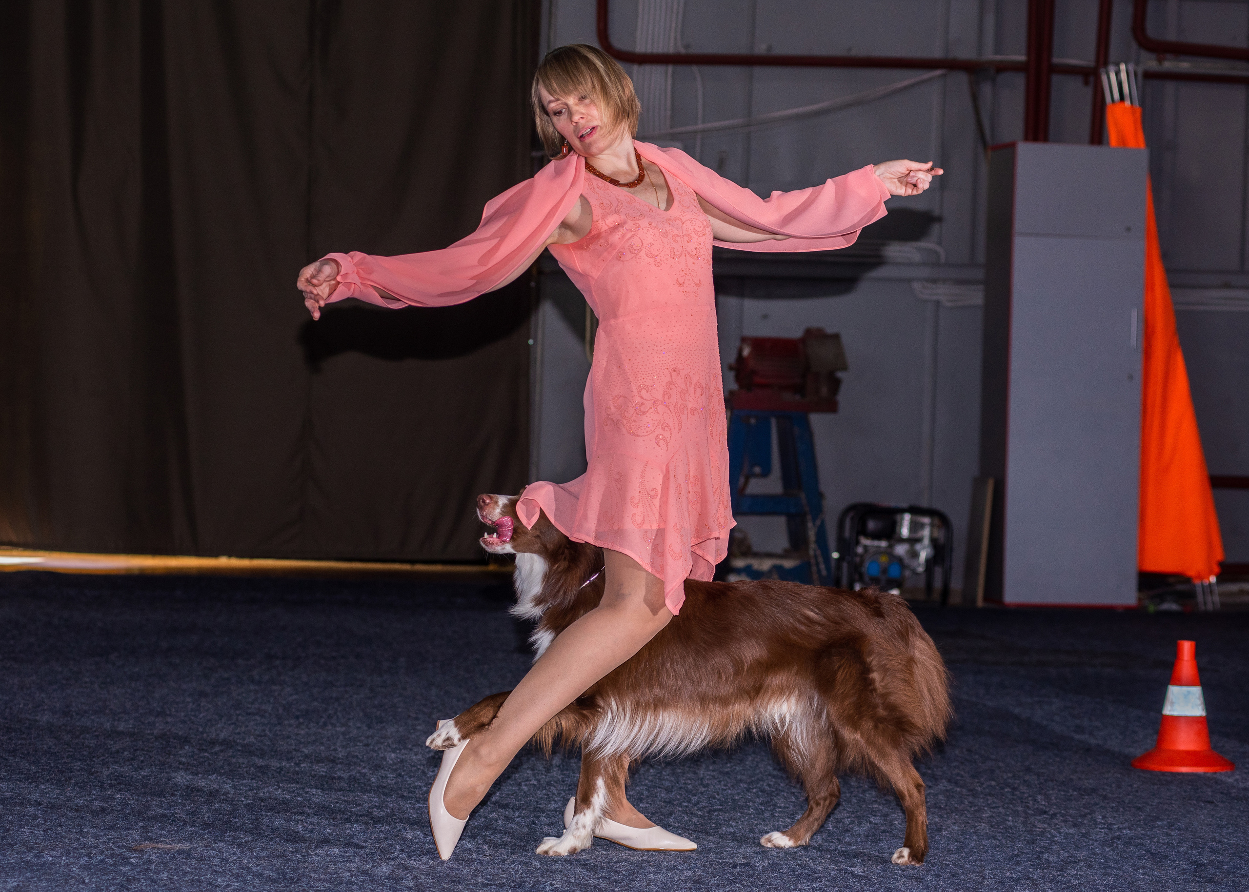 Танцы с собаками!. Дог-фотограф в Тюмени Александра Королева