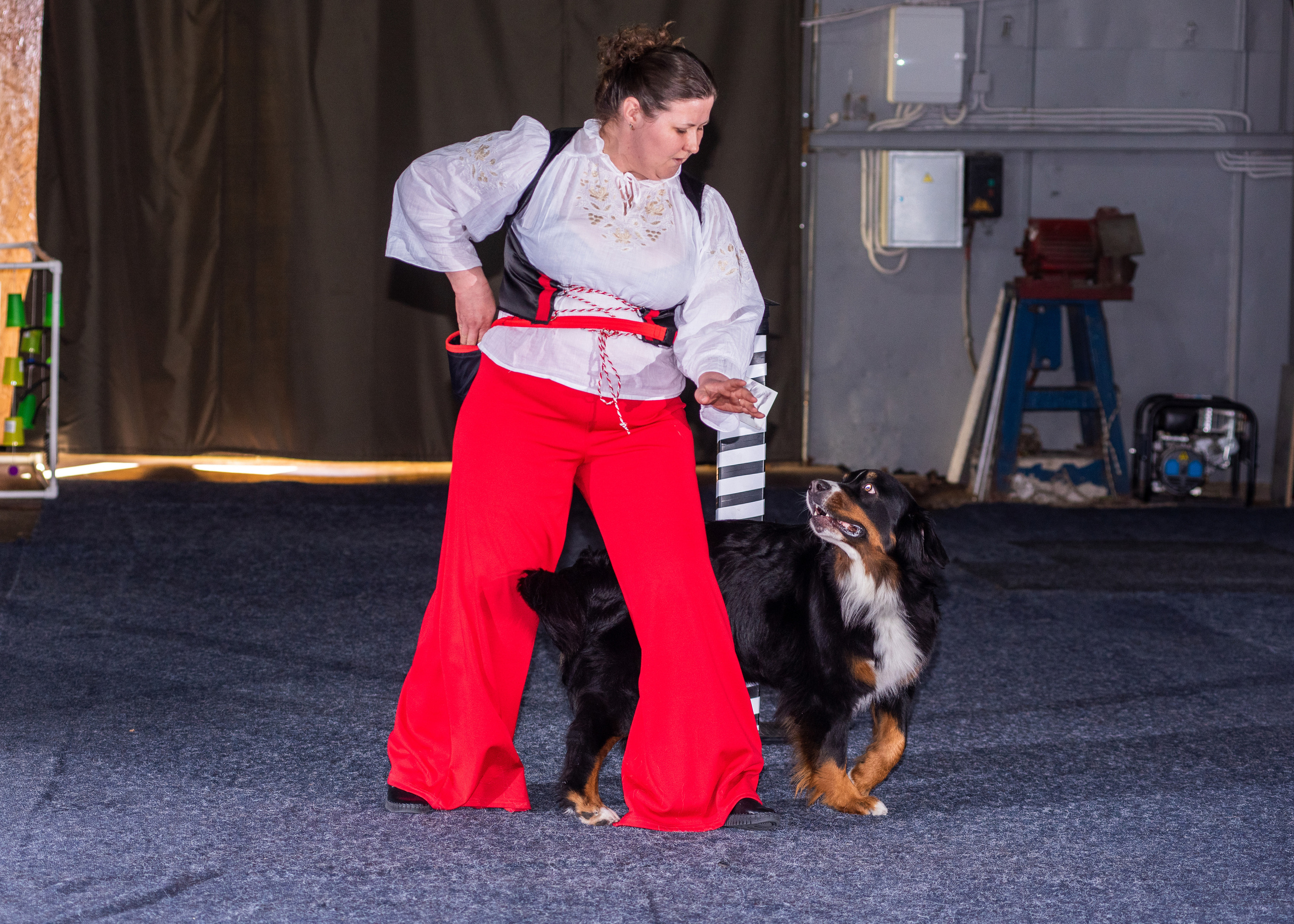 Танцы с собаками!. Дог-фотограф в Тюмени Александра Королева
