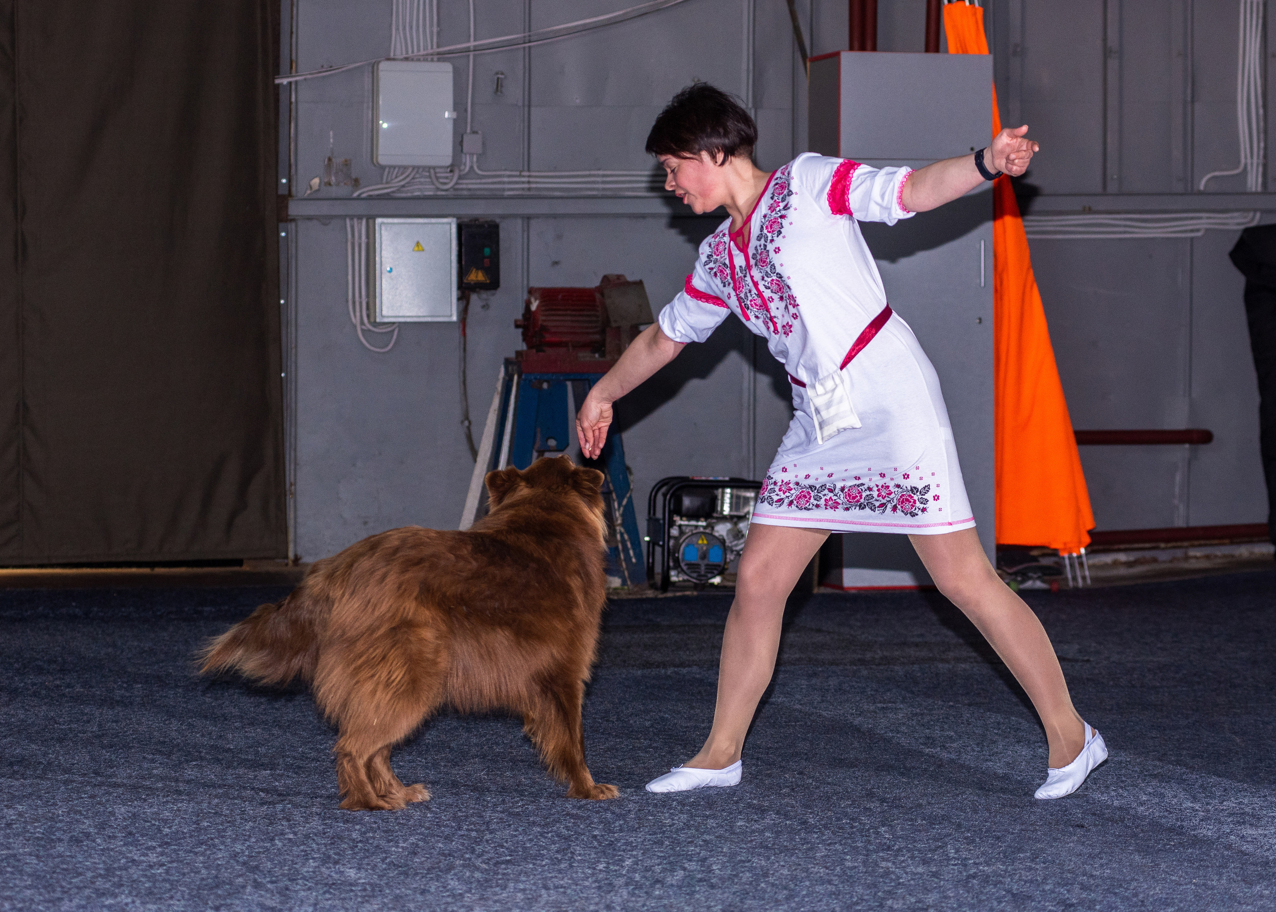 Танцы с собаками!. Дог-фотограф в Тюмени Александра Королева
