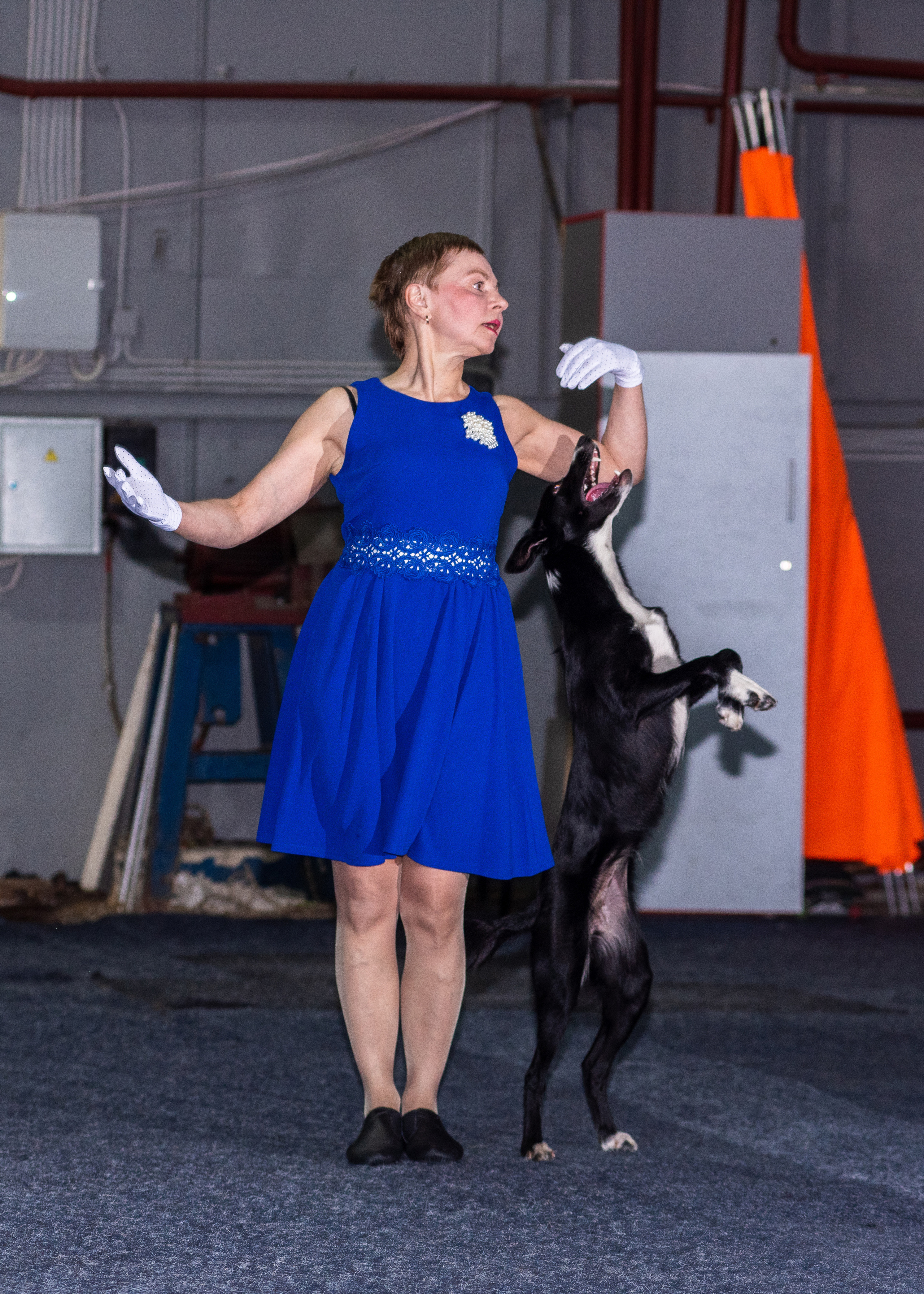 Танцы с собаками!. Дог-фотограф в Тюмени Александра Королева