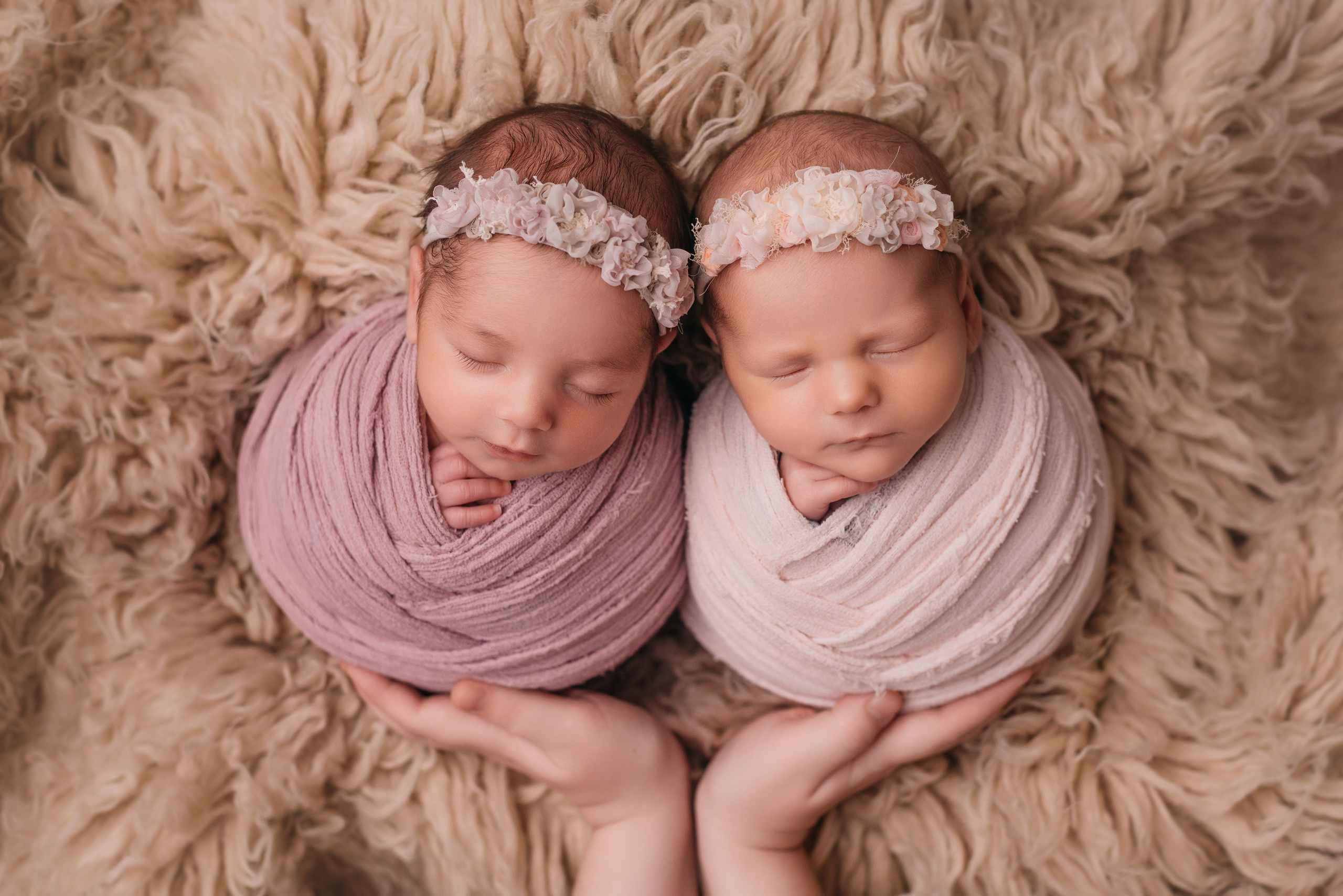 Маша и Соня. Фотограф новорожденных Белгород