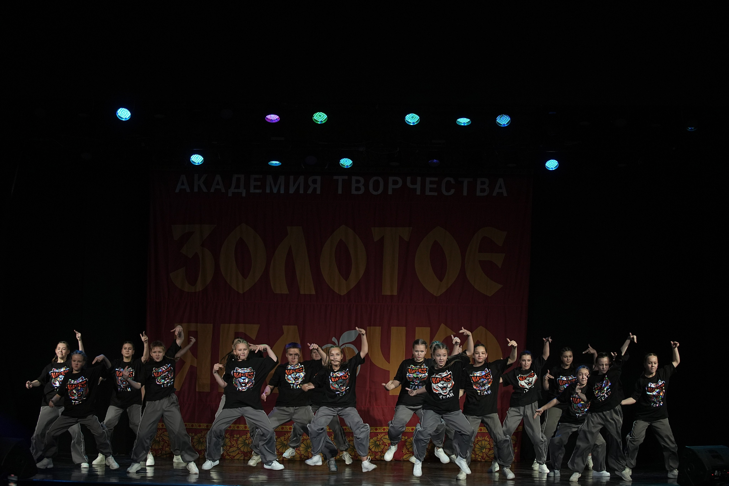 8 декабря, г. Кострома. Золотое яблочко