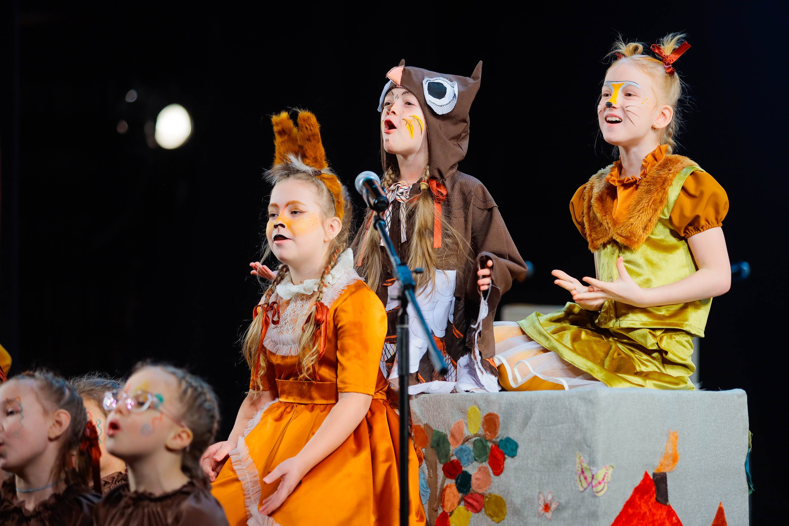 9 февраля, г. Петрозаводск. Золотое яблочко