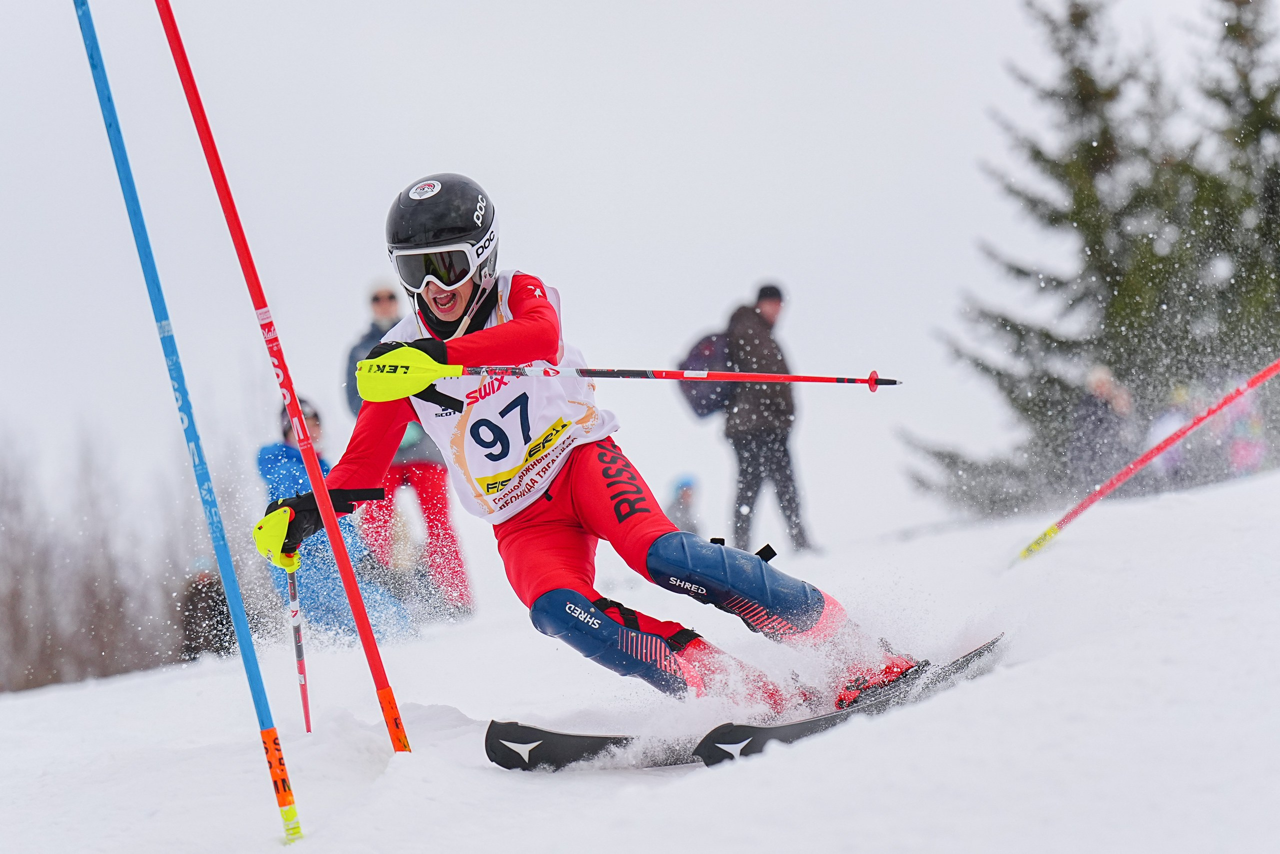 SL (Slalom) - Слалом. Соревнования по горнолыжному спорту. Московская область, Шуколово