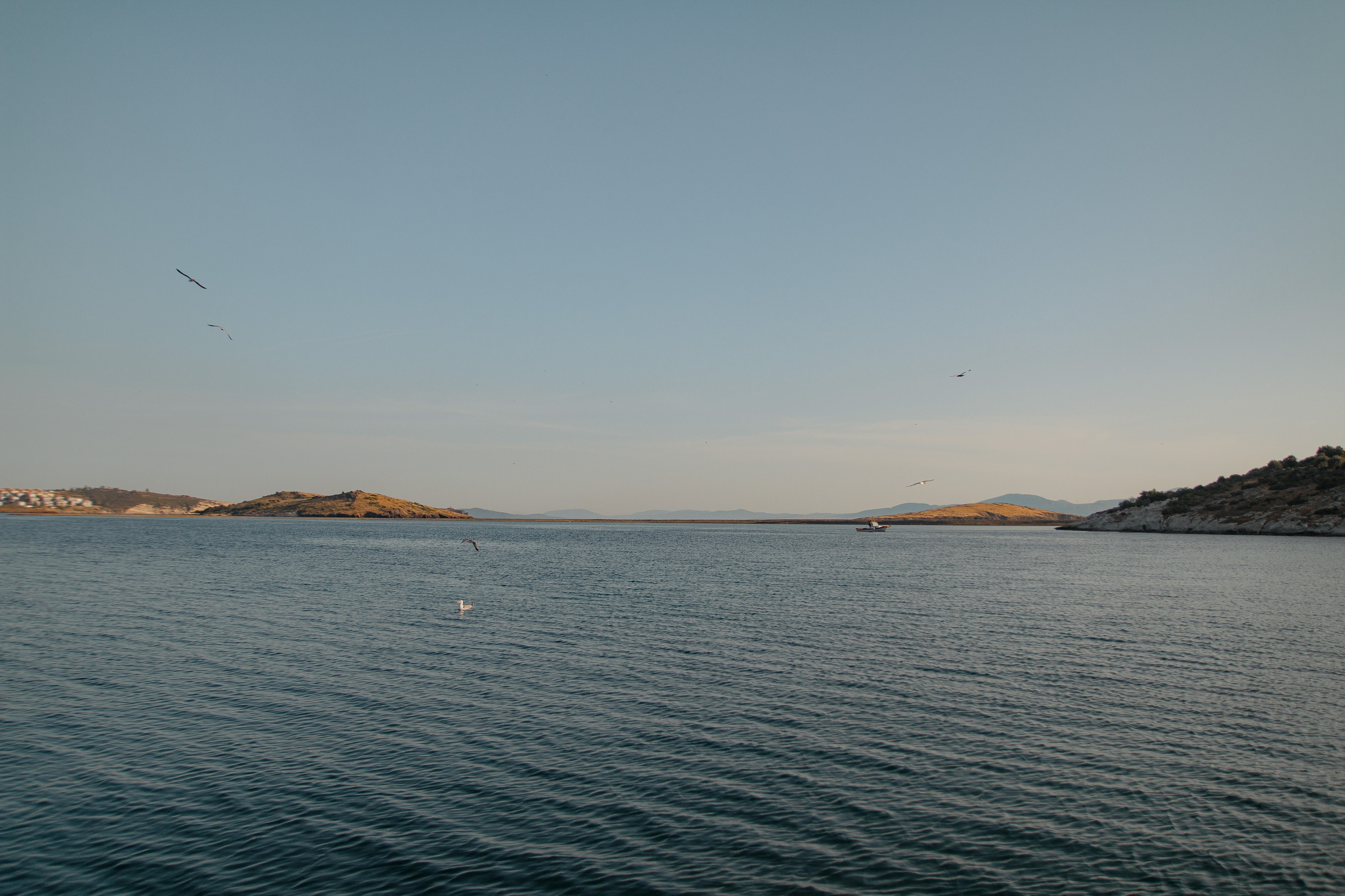 Fırat & Aidai. İrandek. Fotoğrafçı. İzmir