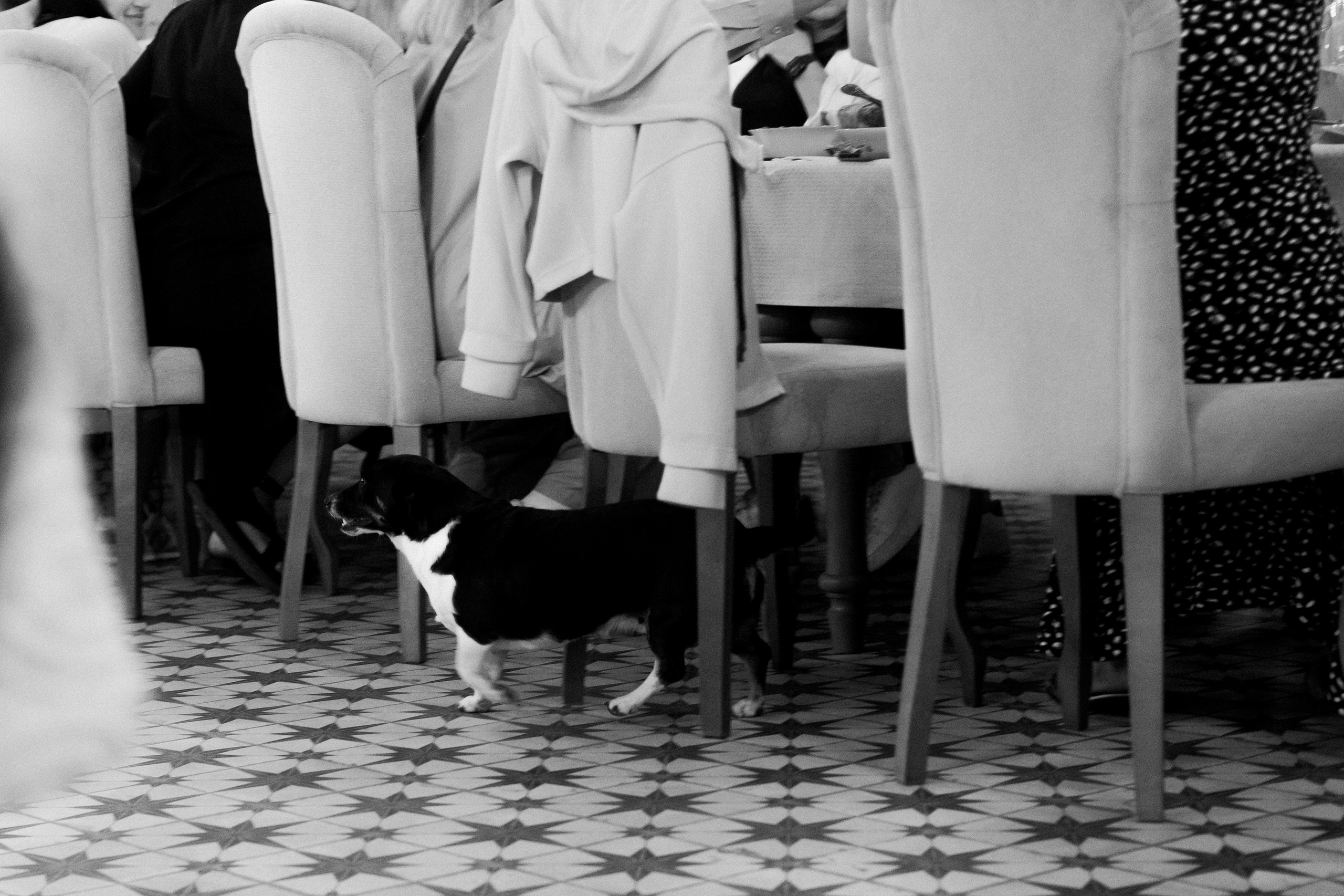 Семейный фотограф. Красильников Евгений — профессиональный фотограф в Ростове-на-Дону