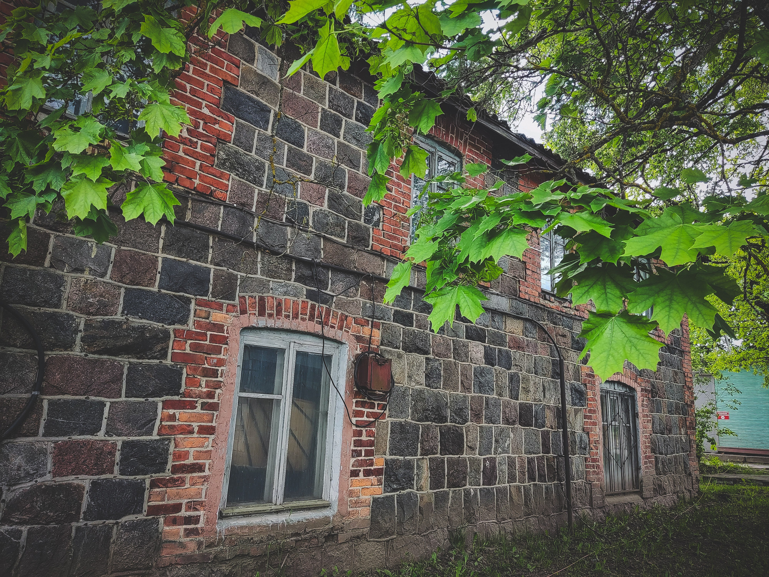 Стрит-фото. F.O.xygen