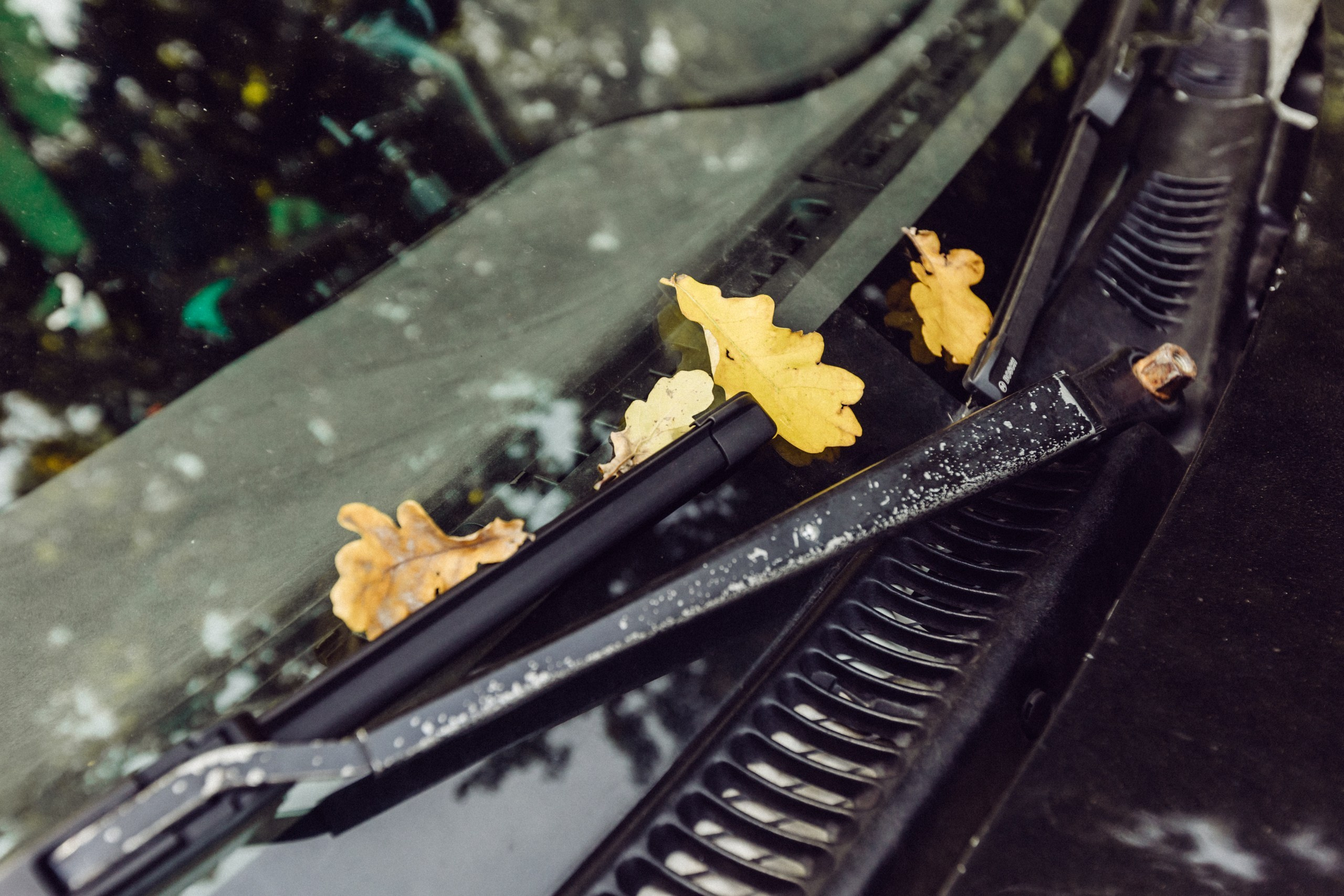 Машина, котики и таинственный шкаф. Семейный LIFESTYLE фотограф в Москве