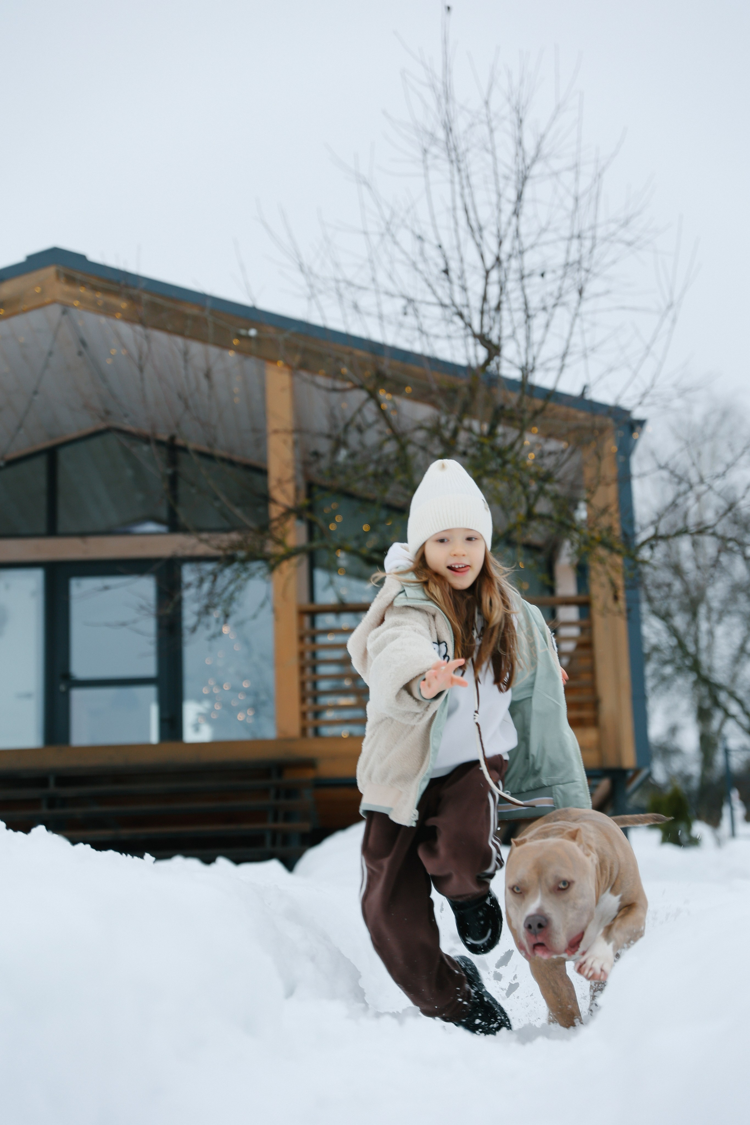 Dasha. Главная