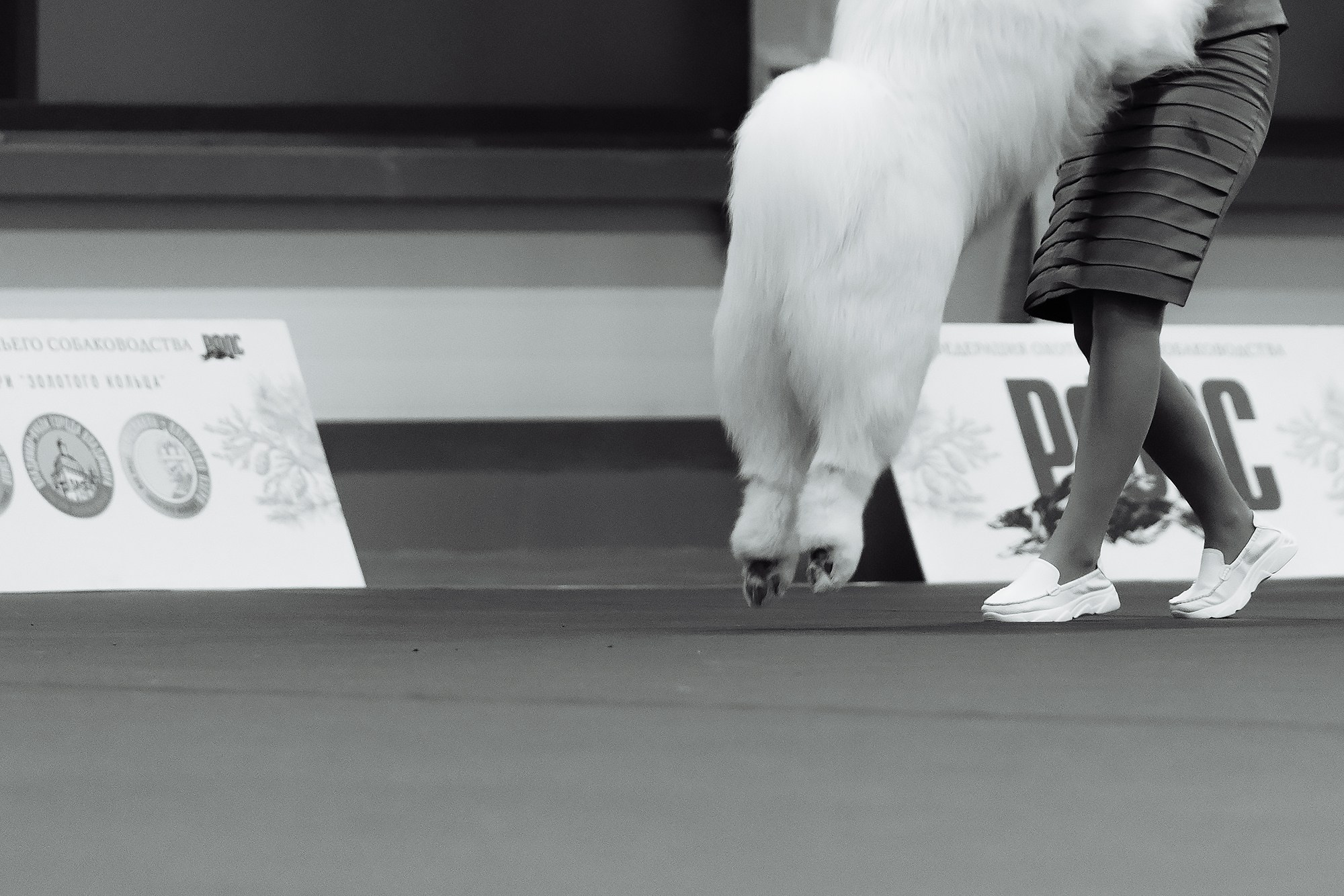 29-30.11.2025 — Казань «Зилант». Фотограф-анималист Саша Вязьмина