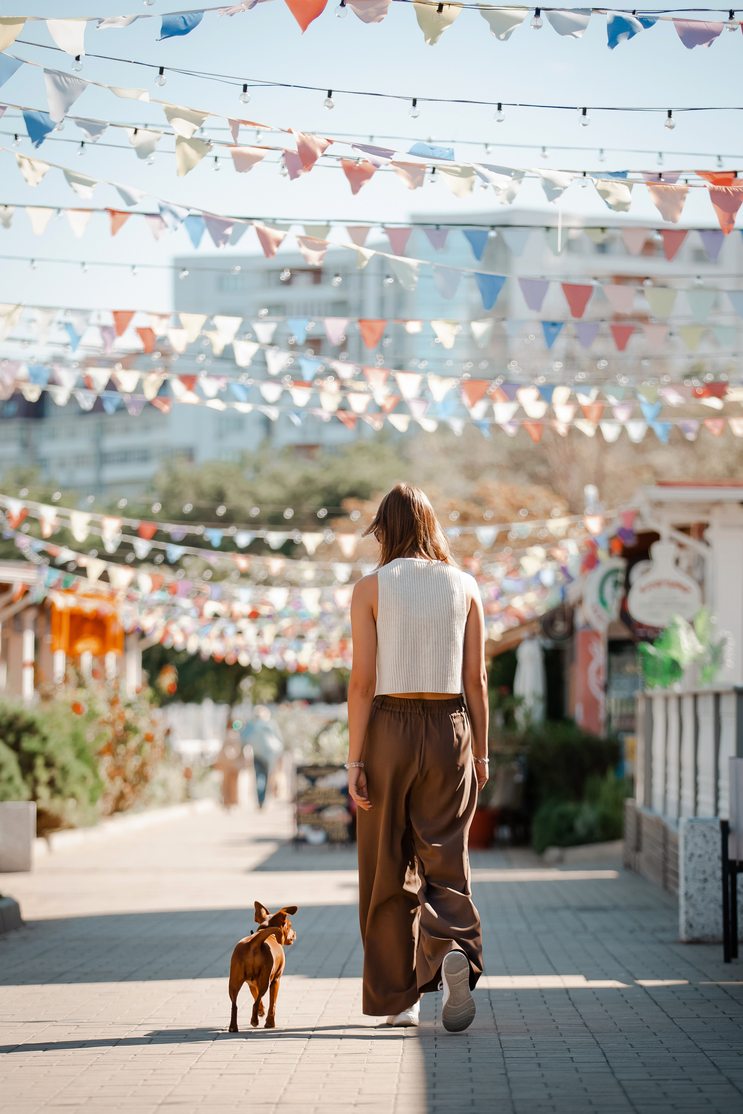 Цвергпинчер в Геленджике. Фотограф-анималист в Краснодаре Маша Мельникова