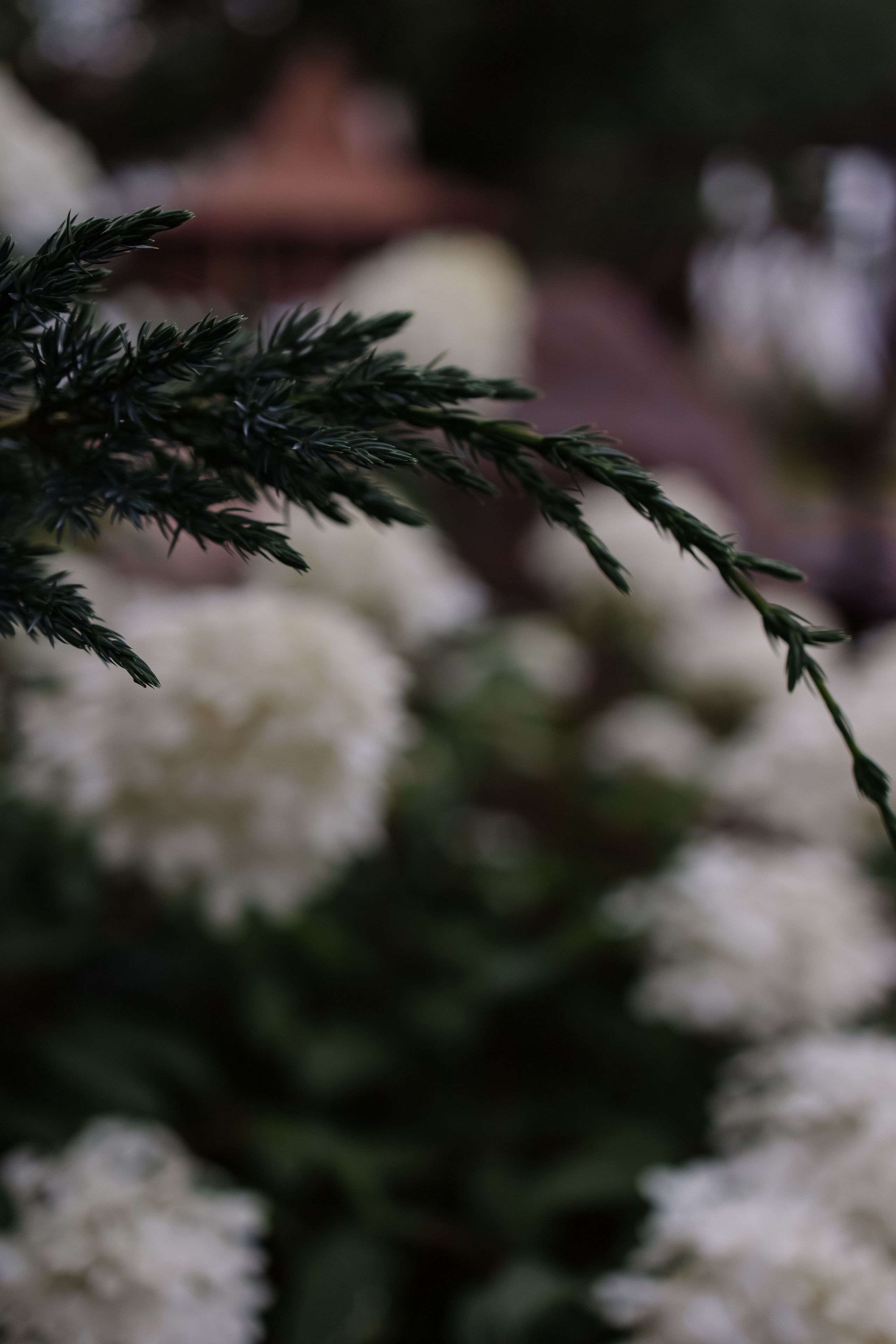 Егор/Арина. Свадебный фотограф