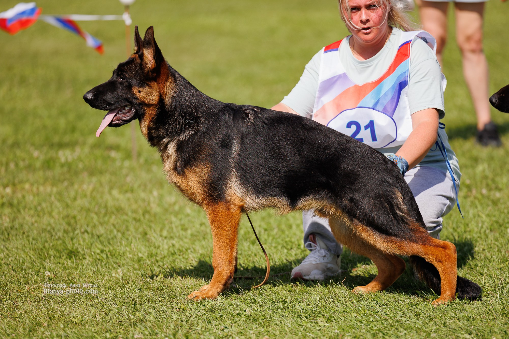 Немецкие овчарки: фото из рингов и вне ринга, мутпроба (фотографии с выставок). Фотограф собак, фотограф-анималист Аня Титова (Titanya). Москва
