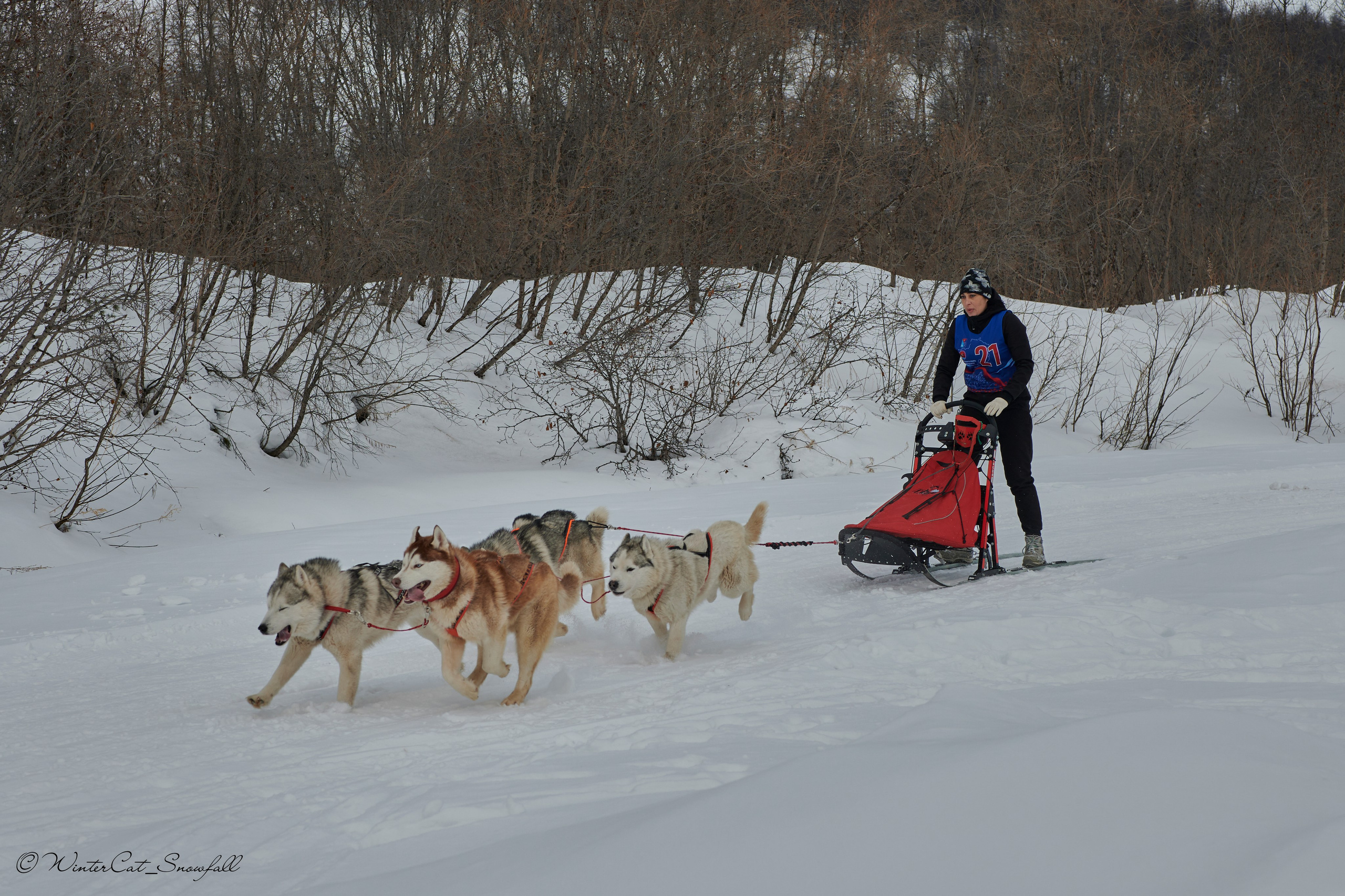 Дзяблу 30.03. Портретный и репортажный фотограф в Магадане Андрей Нефедов WinterCatPhoto