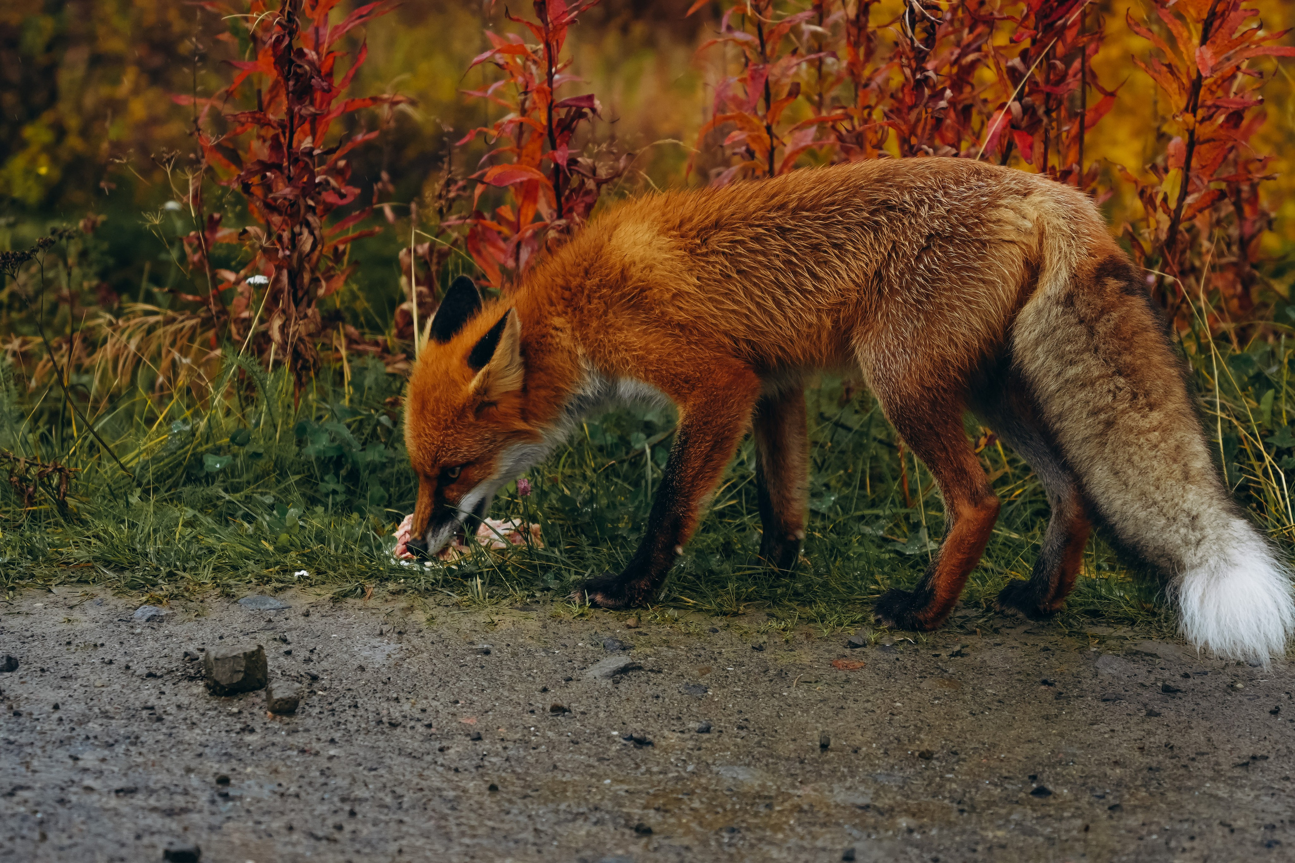 СЕВЕР. Event фотограф Степанова Александра