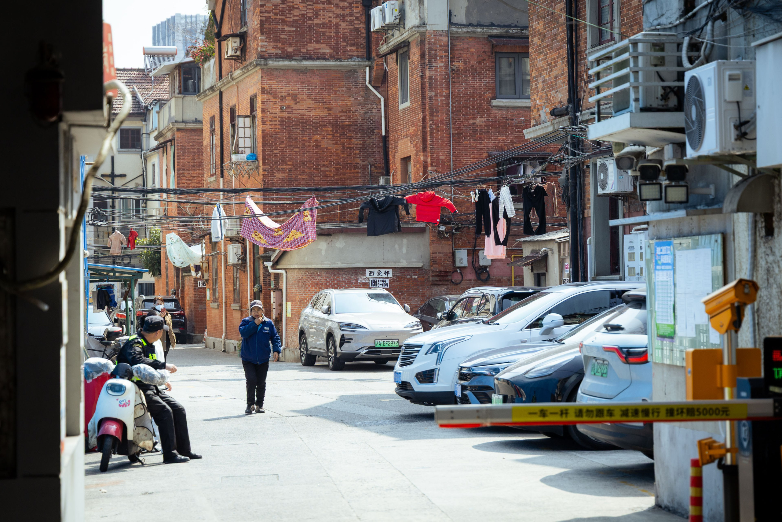 Шанхай (март 2026). Фотограф Виноградов Константин