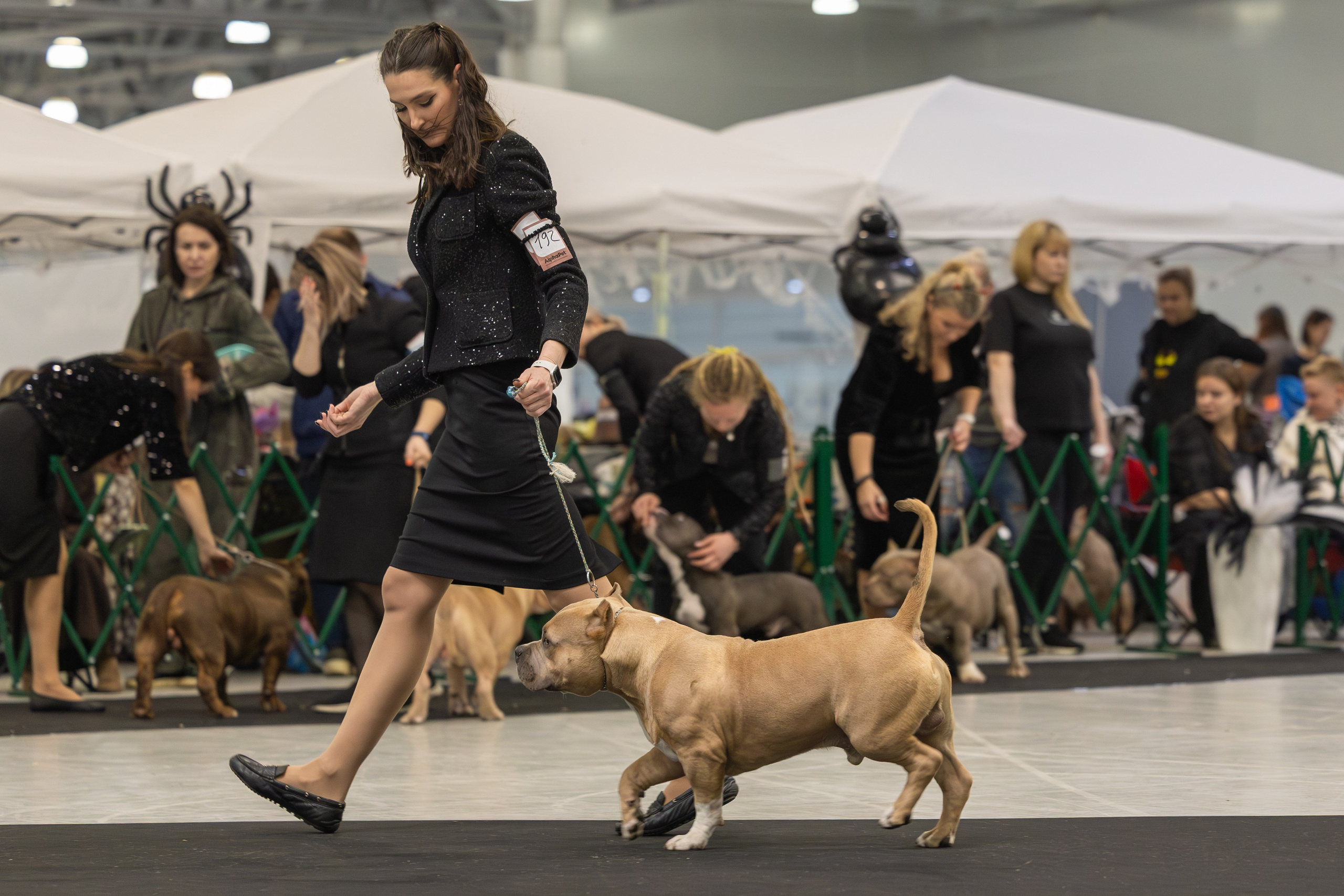 АВКС. Виктория Михайловская. Фотограф-анималист. Москва