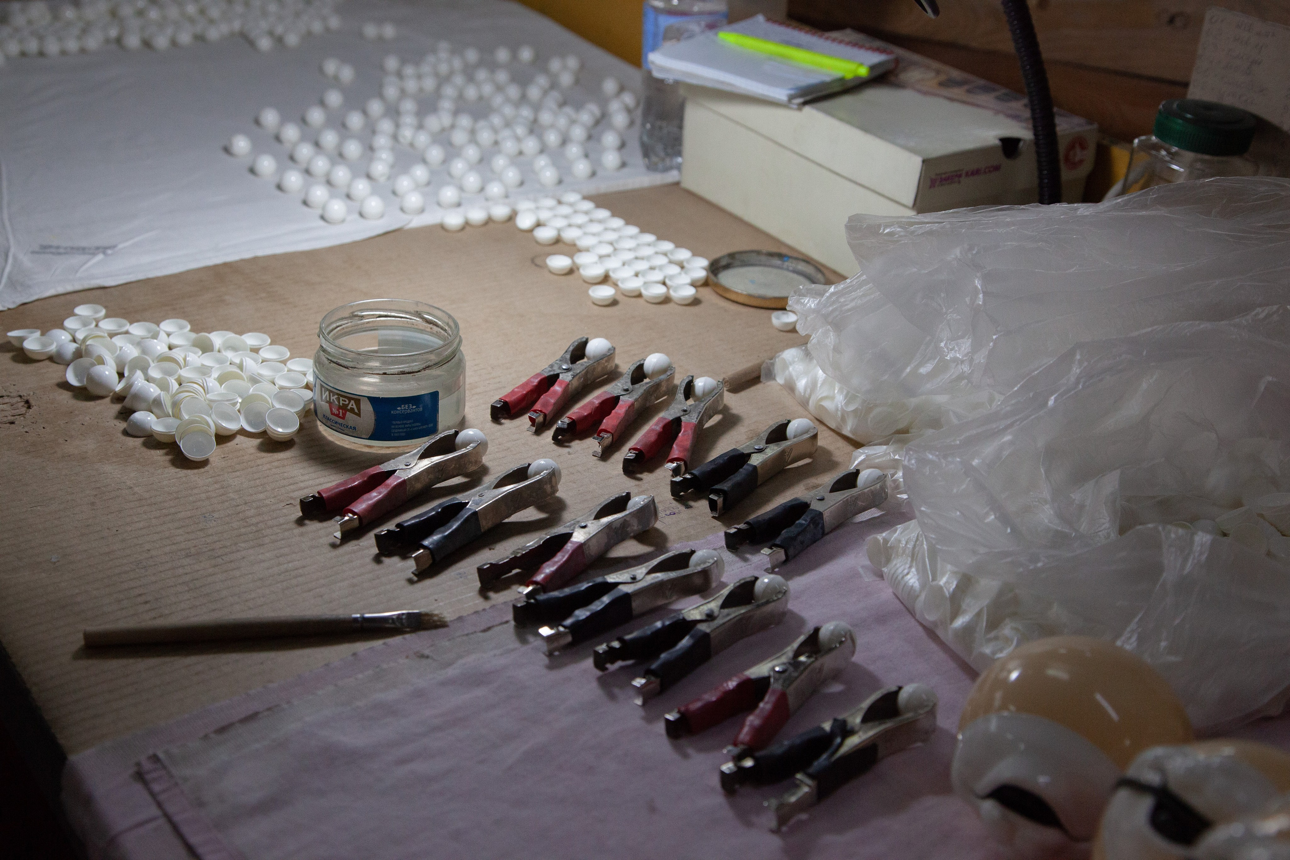 Котовские неваляшки. Полина Трель