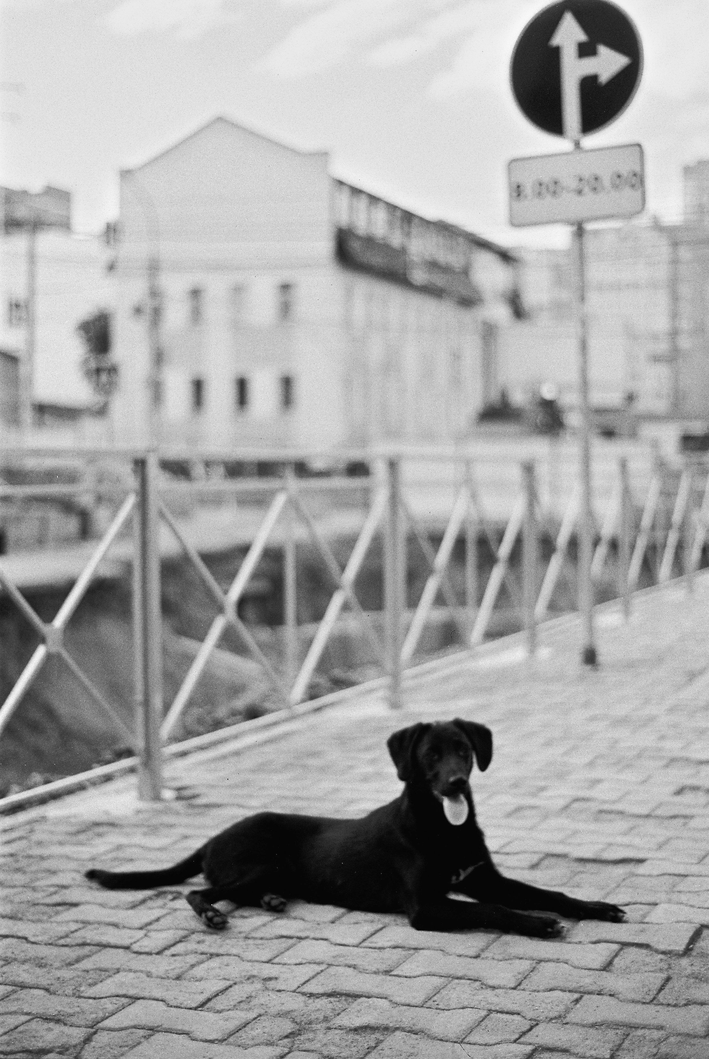 Street-photo города Новосибирск. Портретный и репортажный фотограф. Мыльников Илья