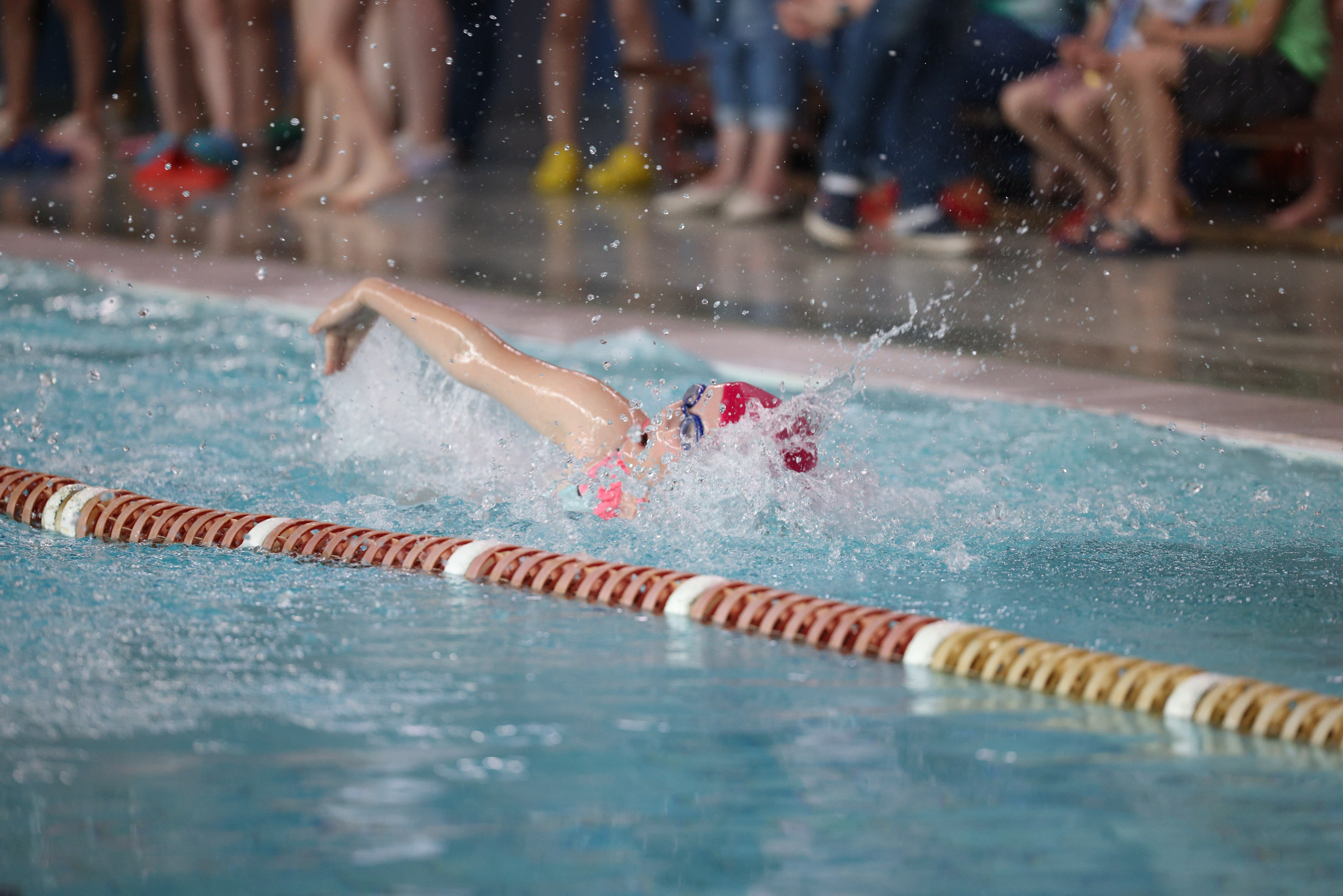 Веселый дельфин. Плавание. Дети 8-9 лет. Фотограф Александр Заломаев