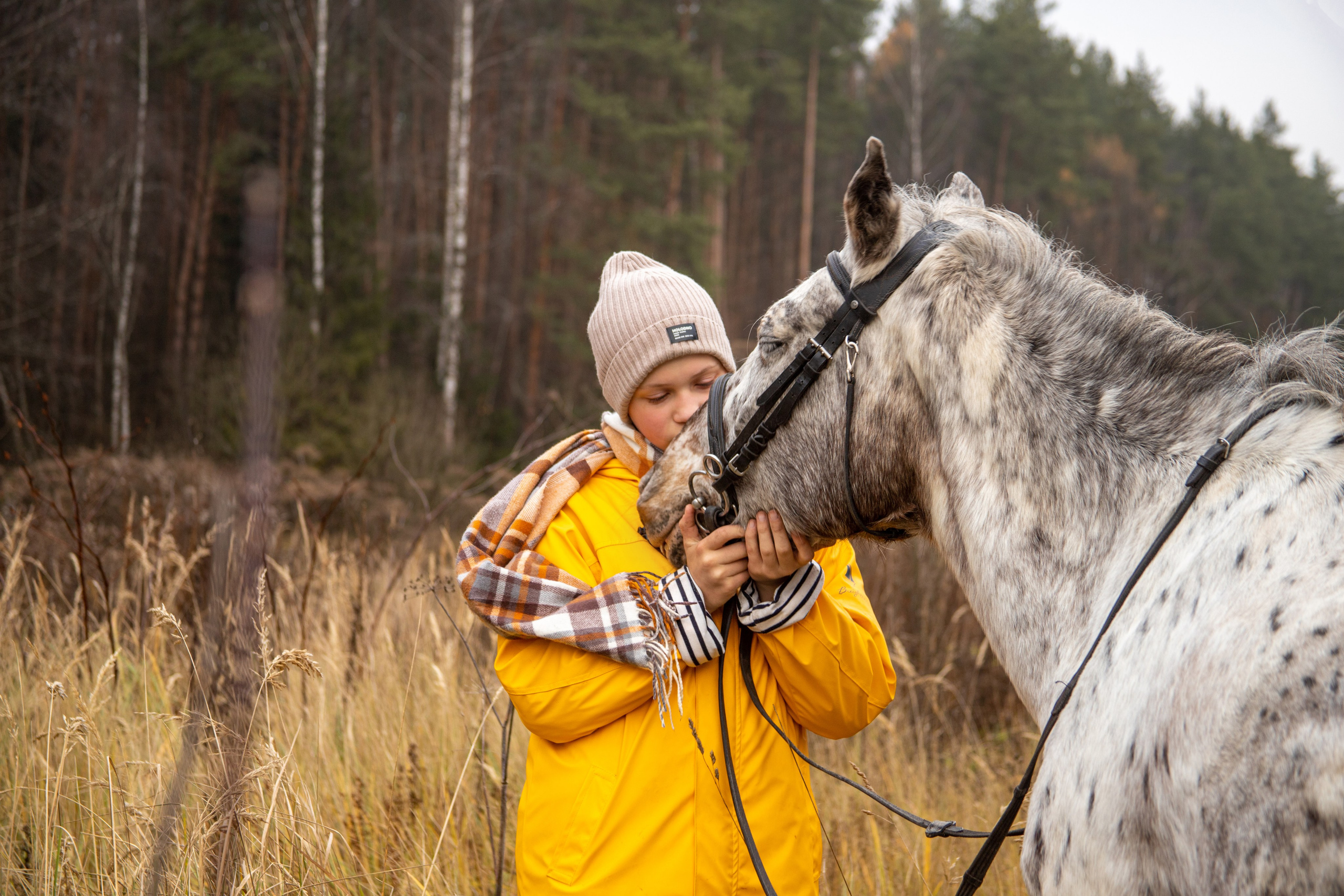 Фотосессии с лошадьми. Фотосессии с лошадьми в Москве и МО