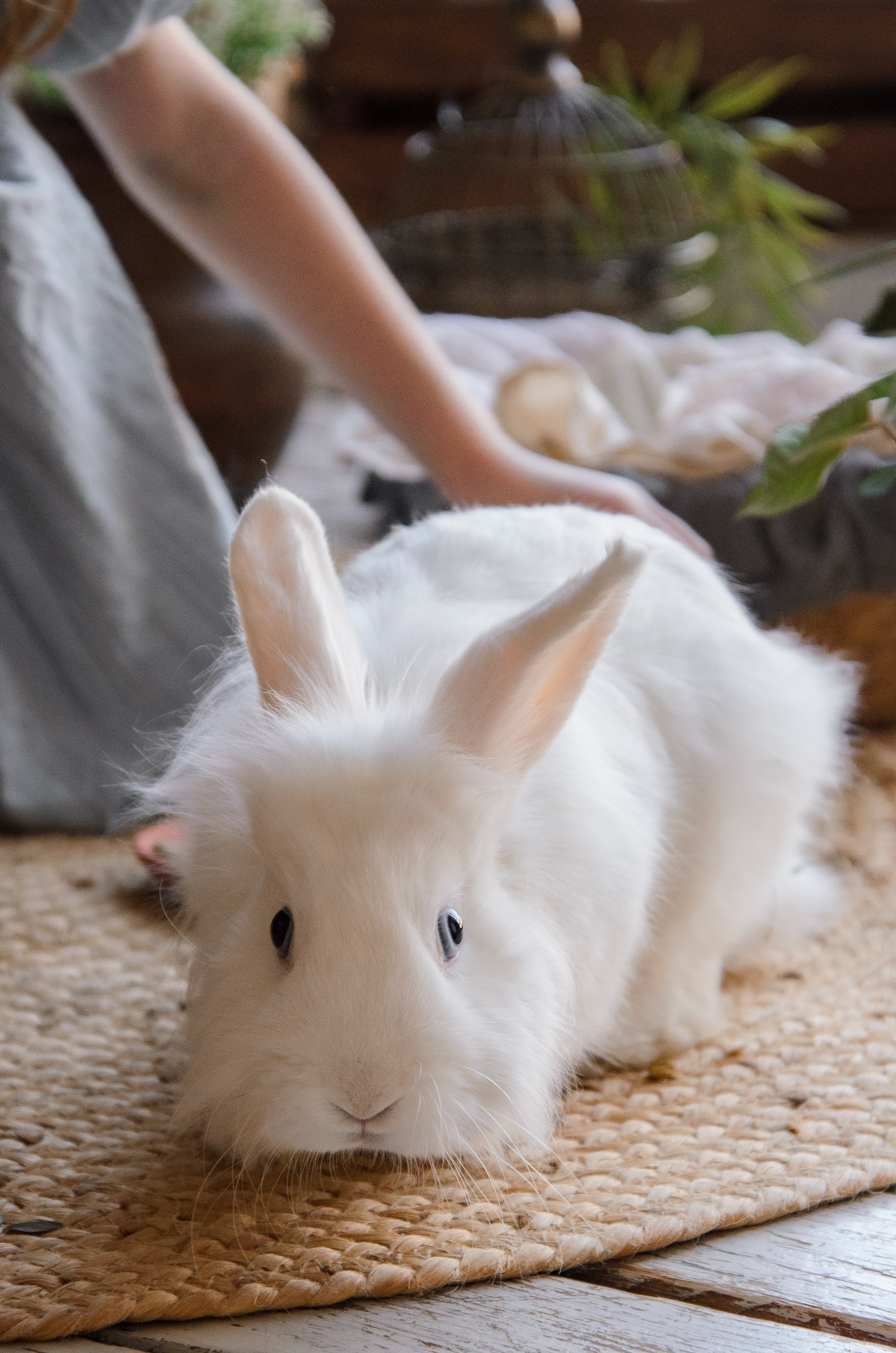 Маленькая садовница. Фотографы в Тюмени Андрей и Лидия Войвод