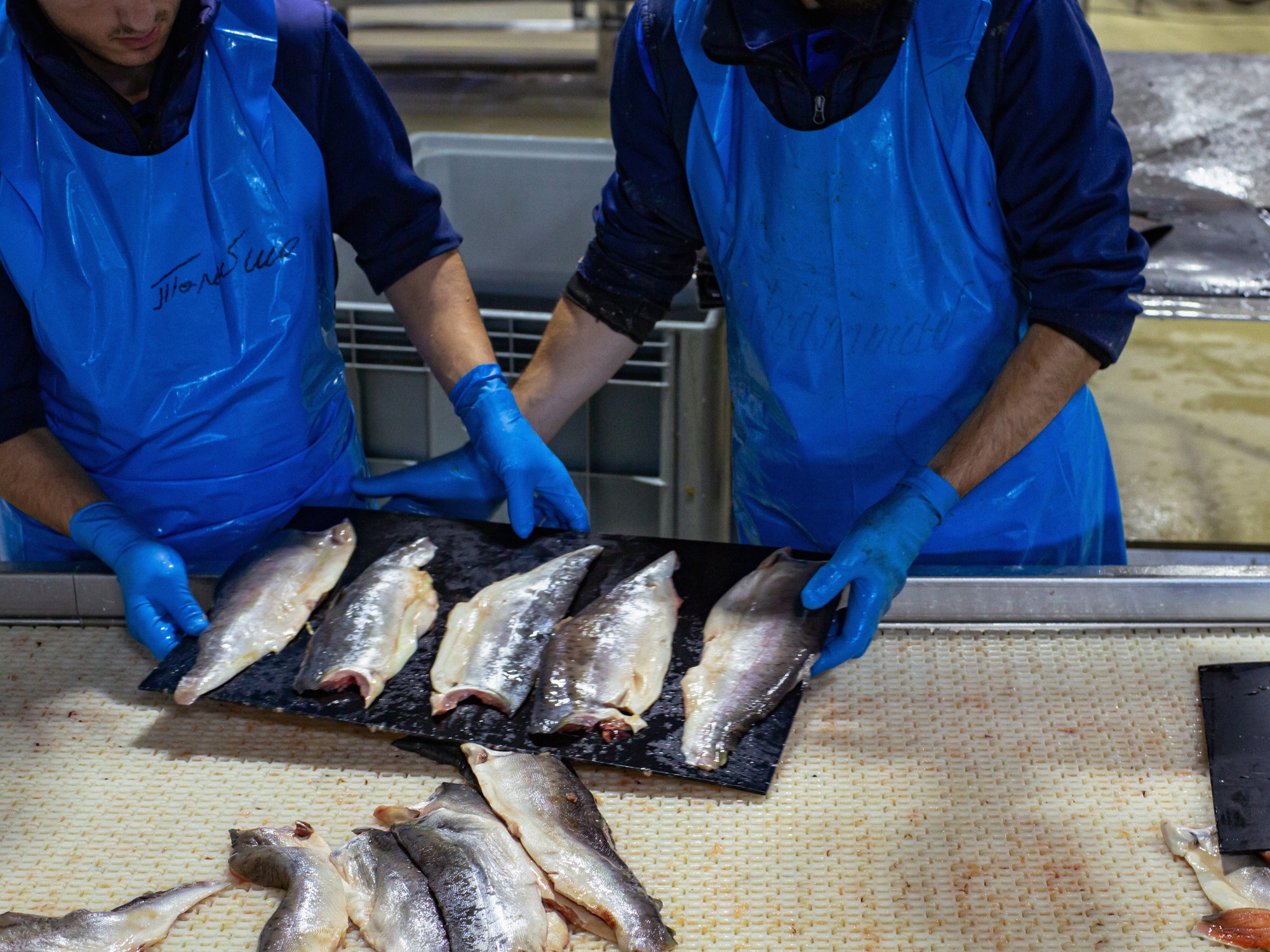 Архитектурная и средовая съёмки. Фотограф Евгений Казекин