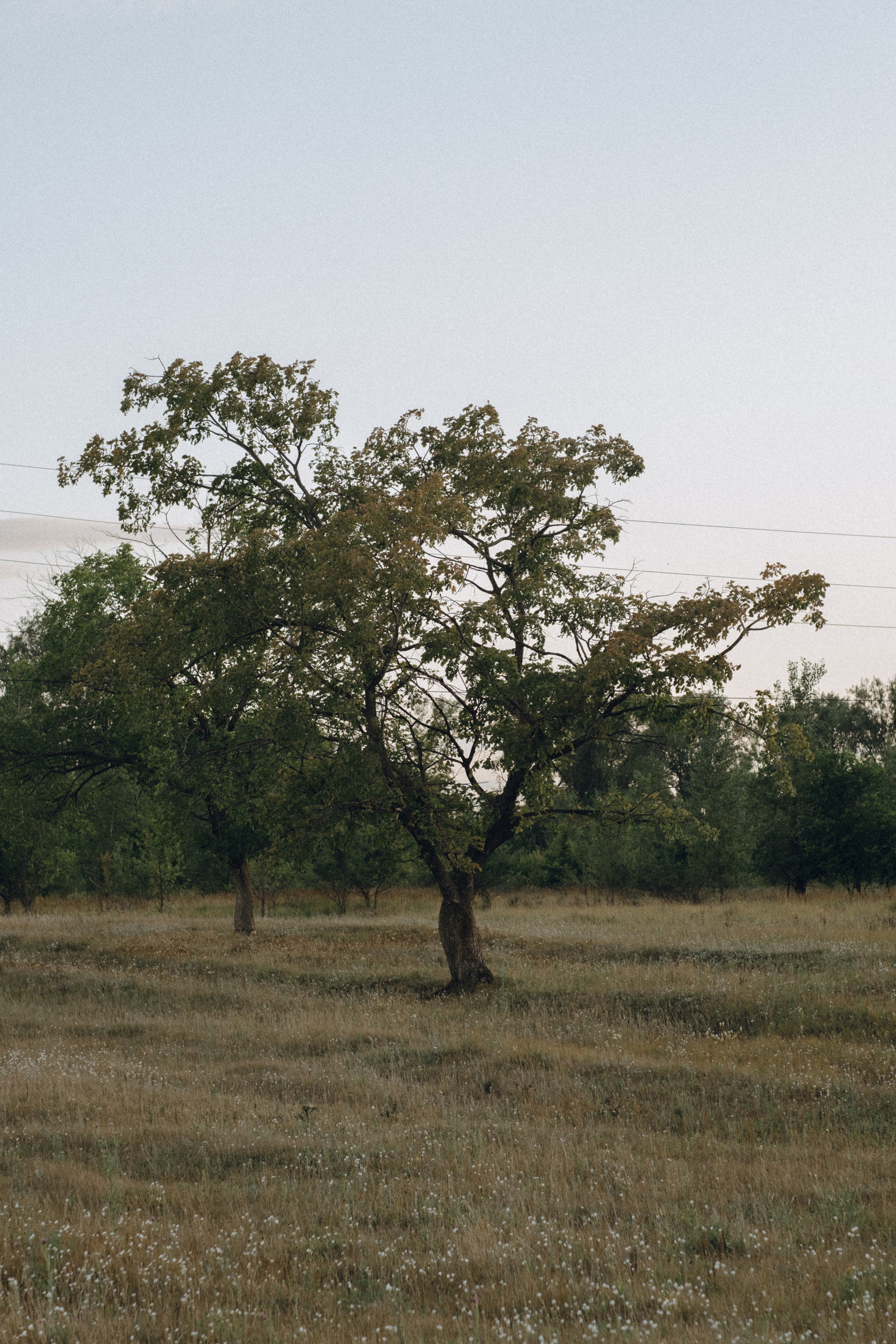 Veta. Фотограф Ксения Дзюбак Самара-Москва
