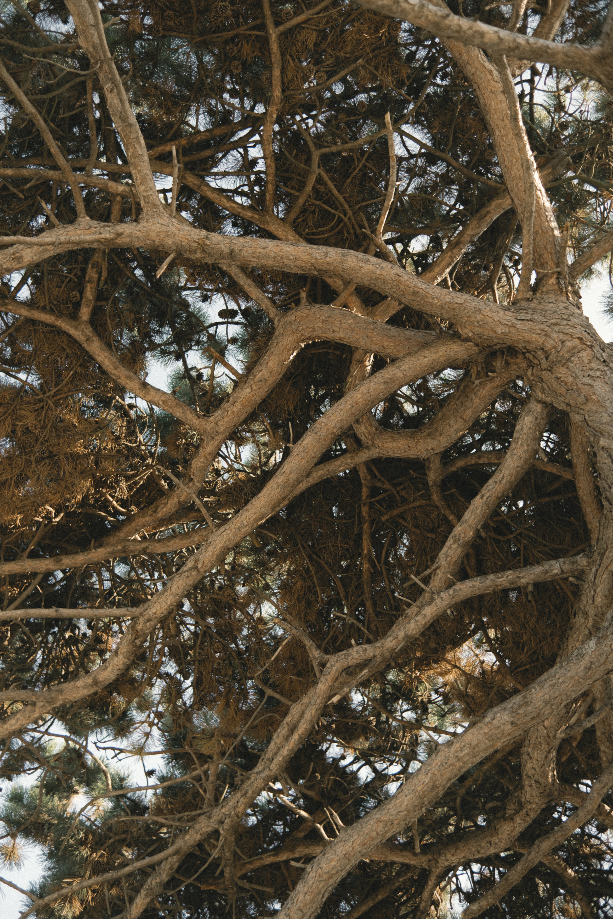 Vlada & Yan. Фотограф Ксения Дзюбак Самара-Москва