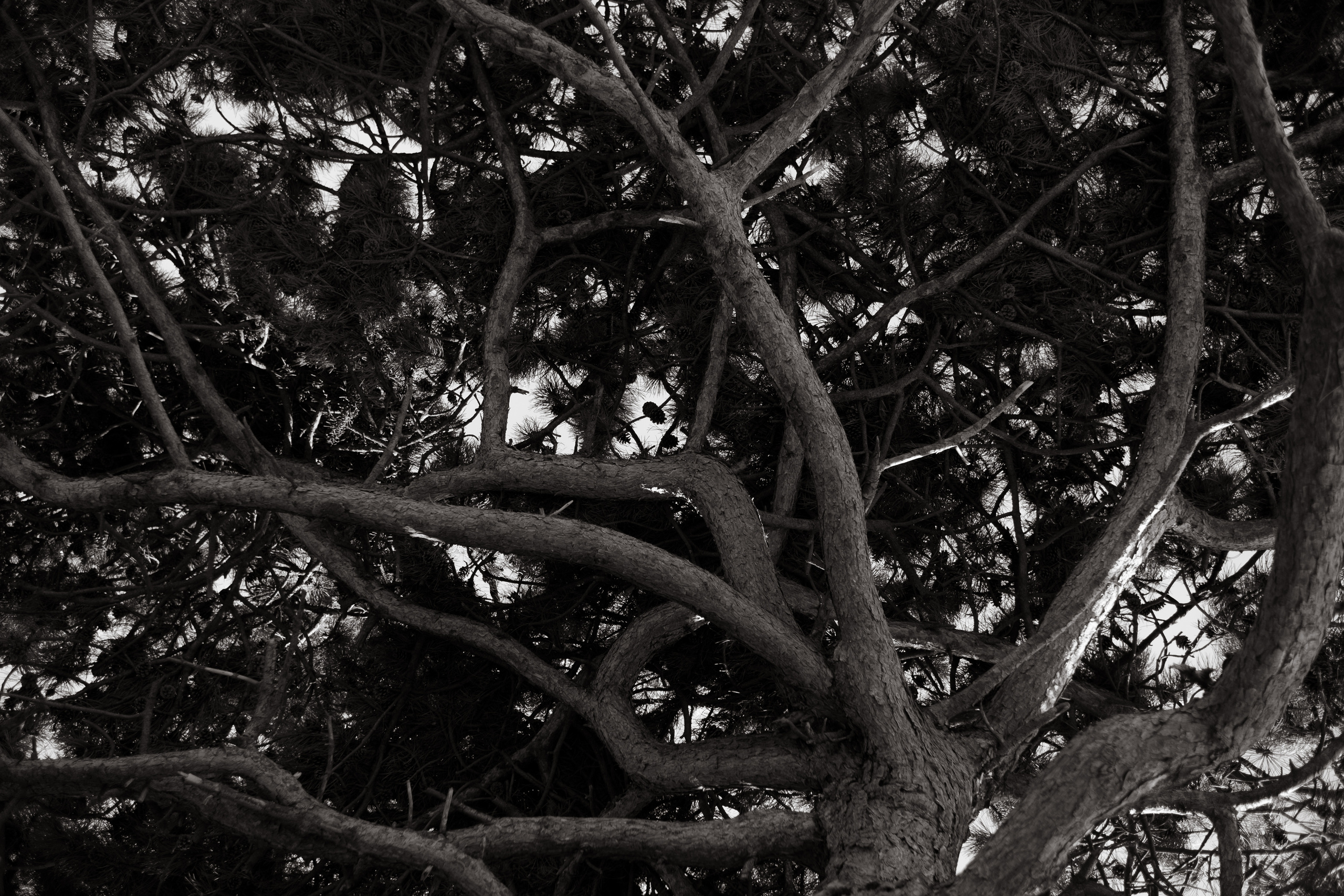 Vlada & Yan. Фотограф Ксения Дзюбак Самара-Москва