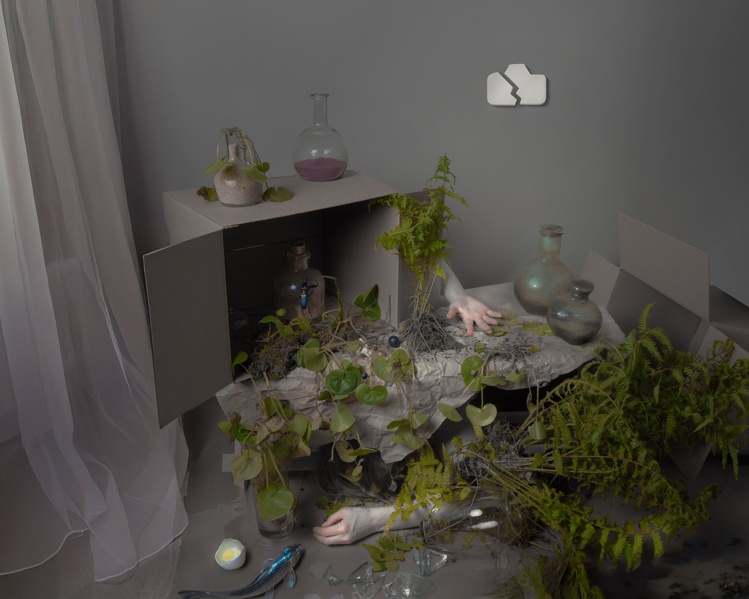 Природное голодание. Фотохудожник АРТ-фотограф Ира Будниченко Москва