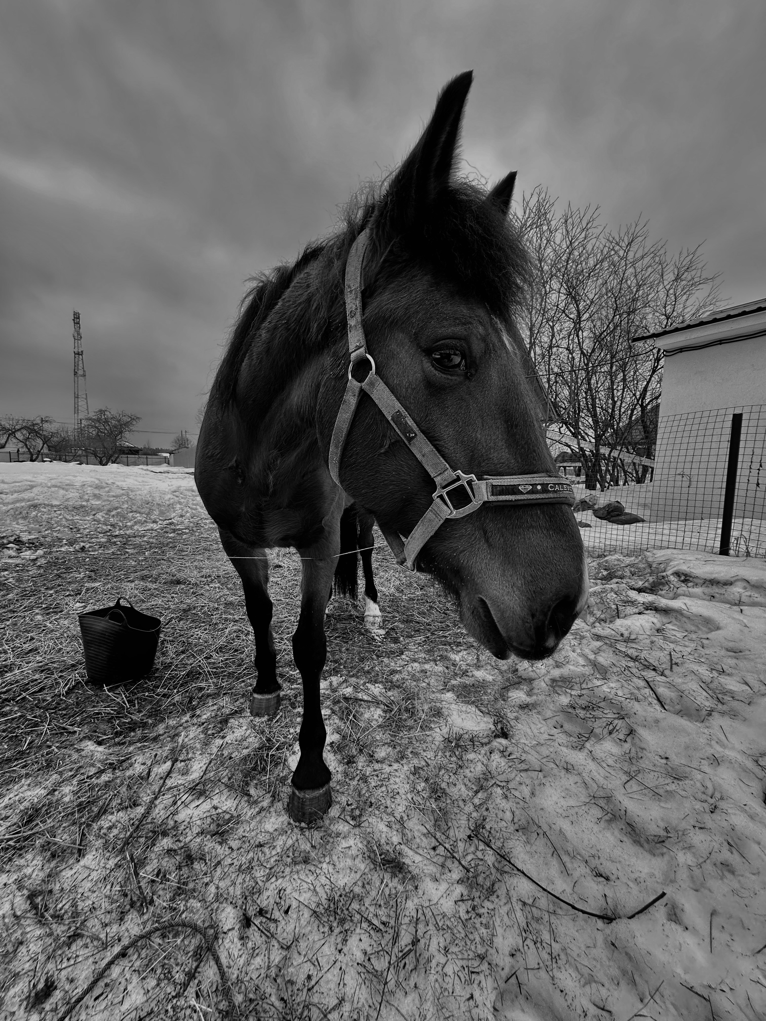 EXHIBITION. Репортажный и интерьерный фотограф, фотохудожник