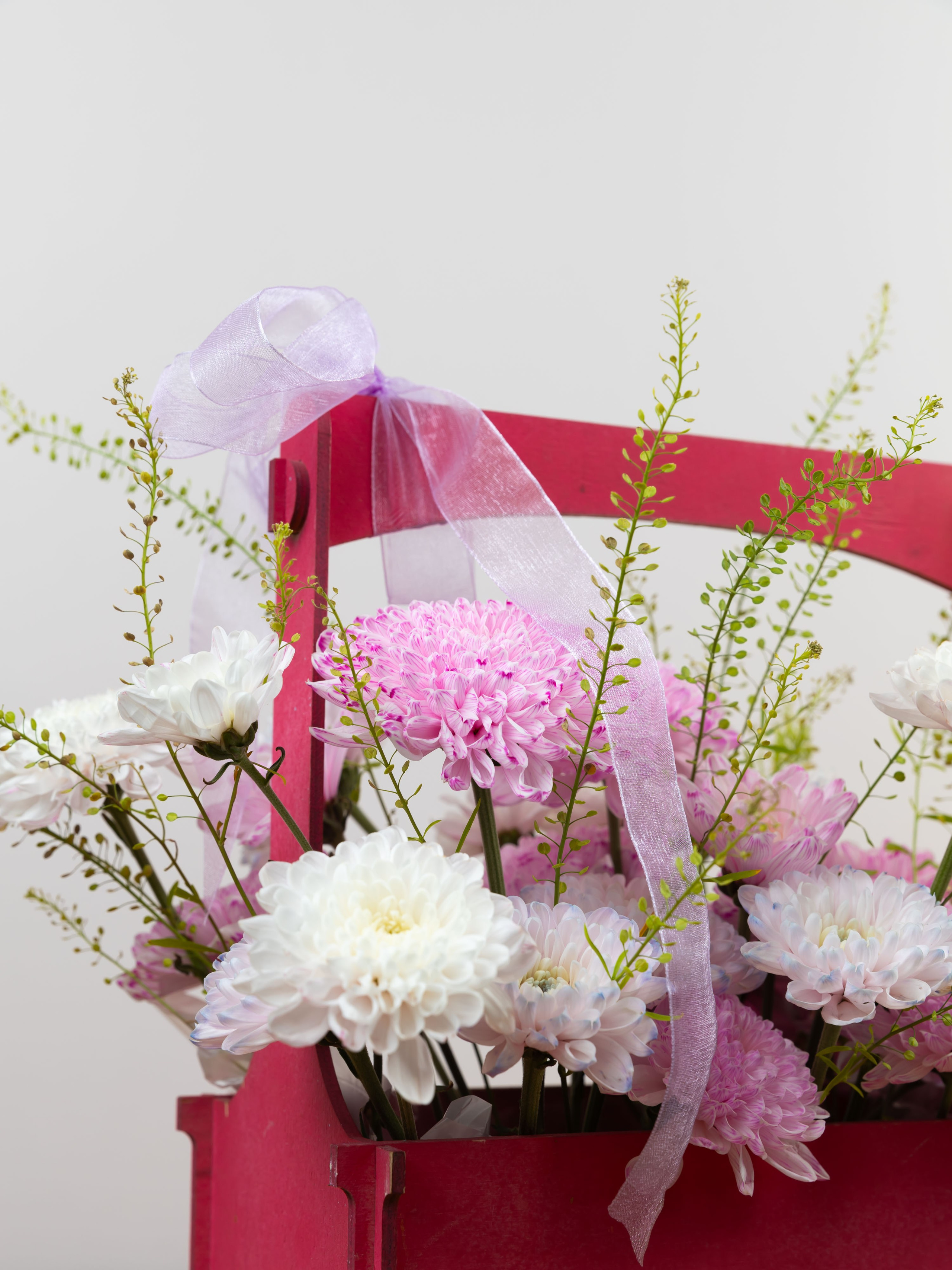 01.08.2025 Фотосессия Цветополис. ФОТОГРАФ ВИНОГРАДОВА ДАРЬЯ