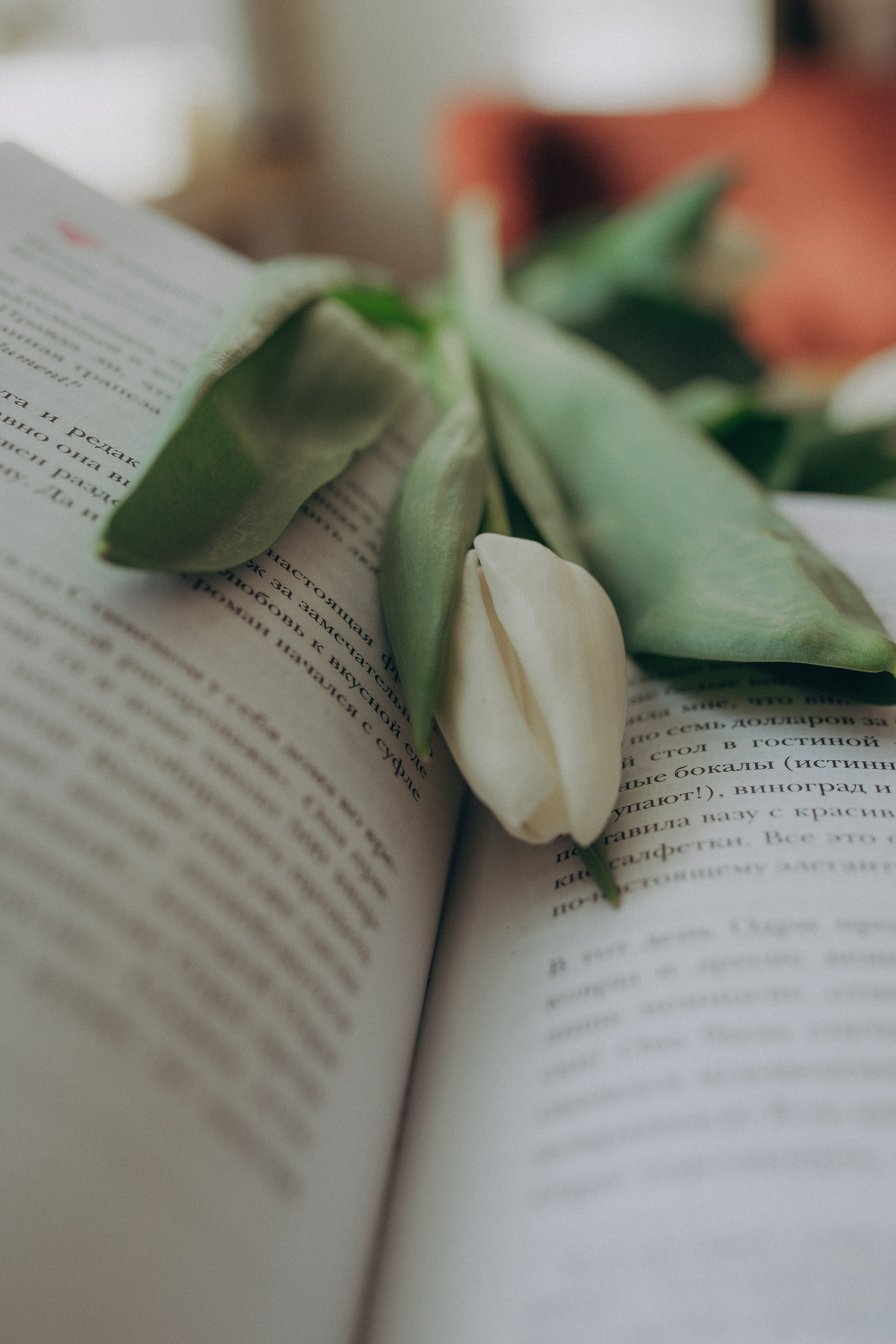 Катя. Фотограф новорожденных в Москве Щелково и МО Ангелина Энговатова