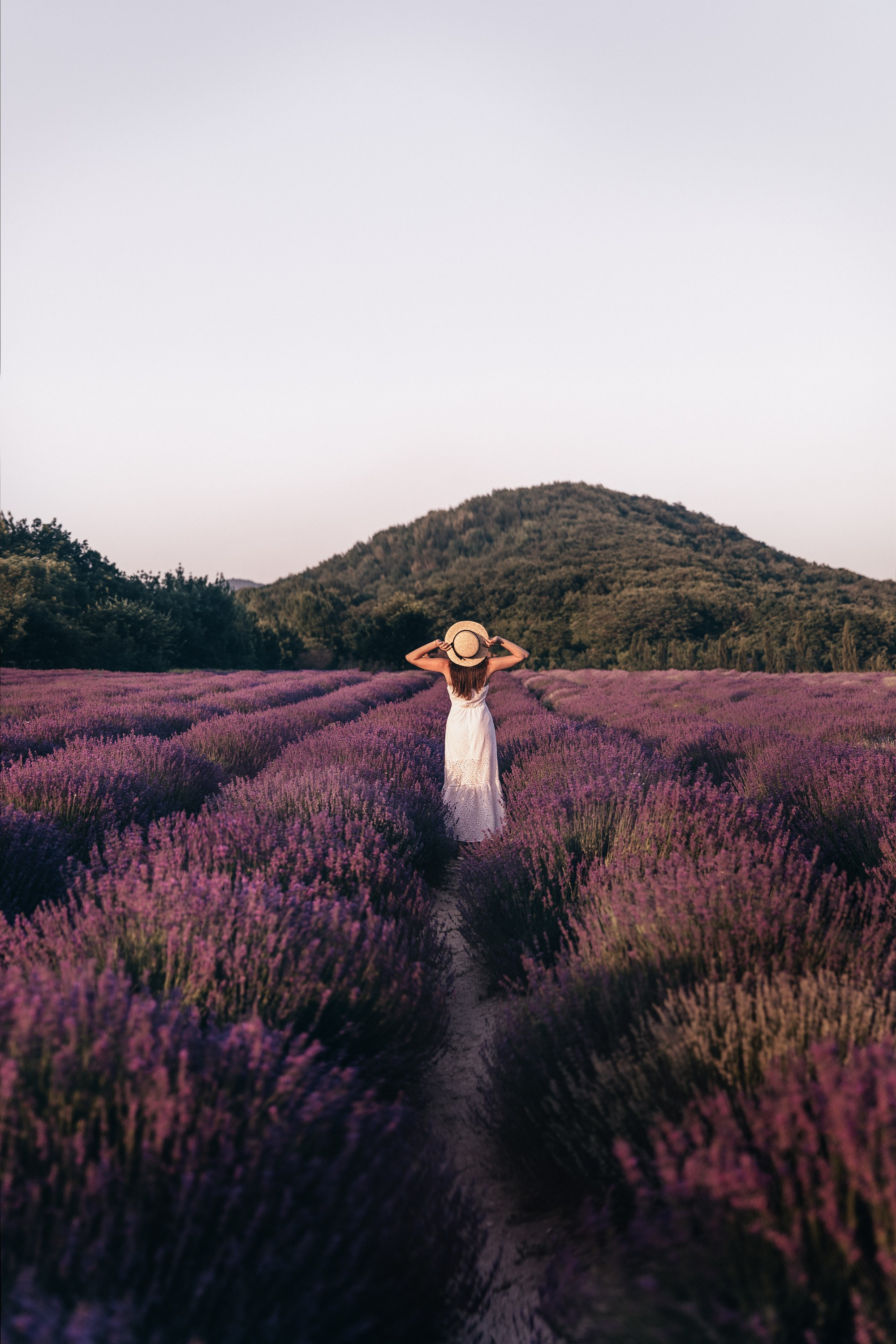 Фотосессия в лаванде Геленджик. Свадебный фотограф в Геленджике Мария Четверикова