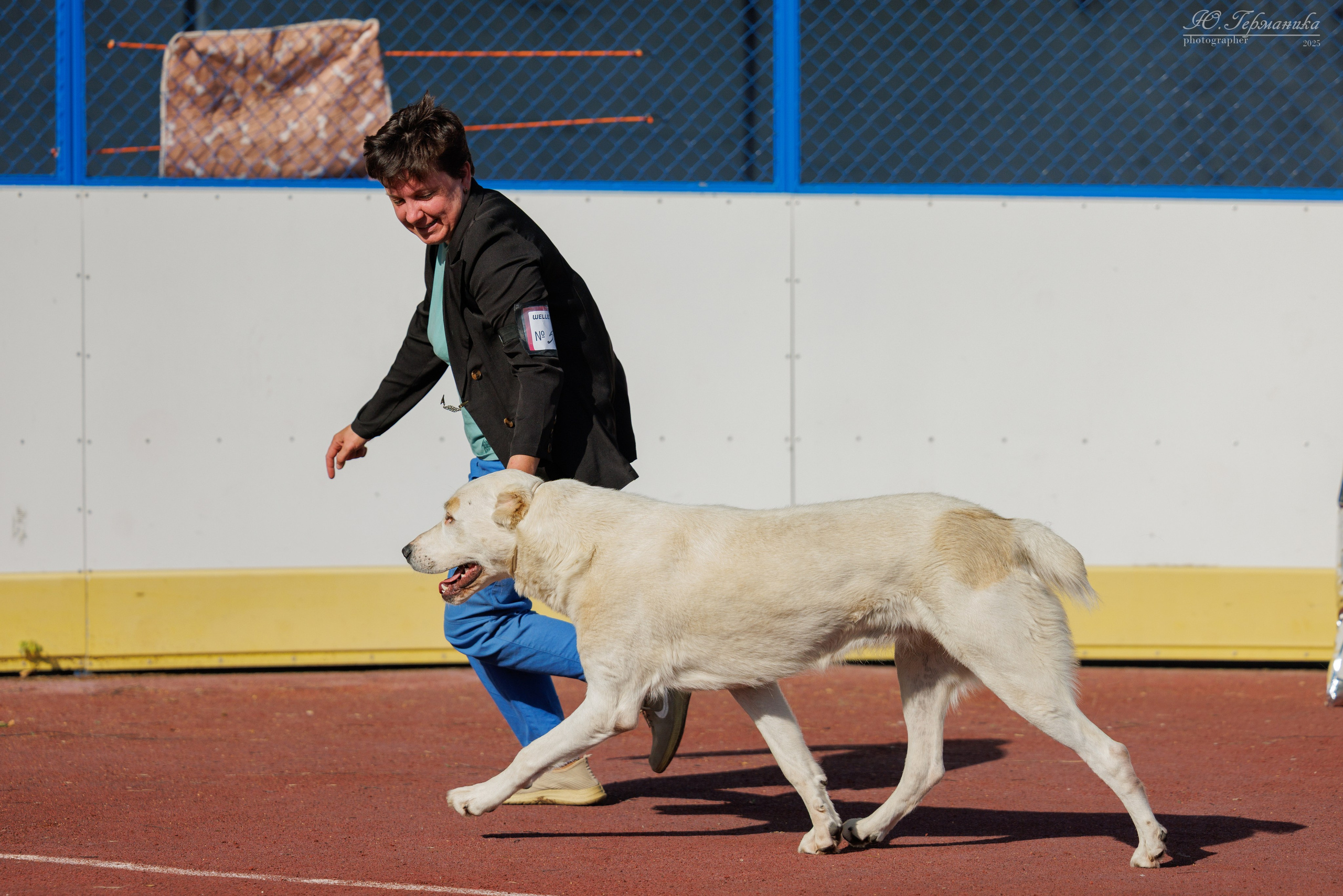 Коломна 30.08.2025. Фотограф-анималист Юлия Германика