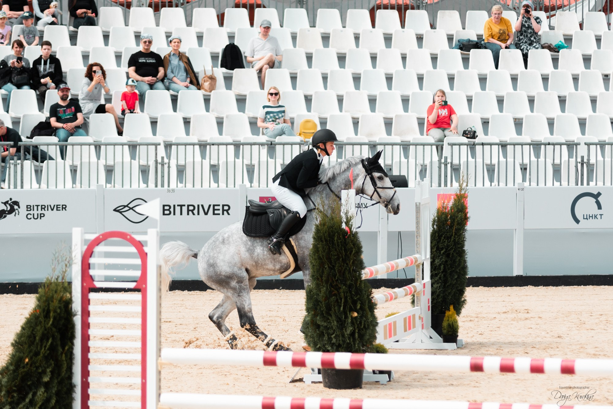 BITRIVER CUP 2023. Конный фотограф Куракина Дарья • Фотосессии с лошадьми